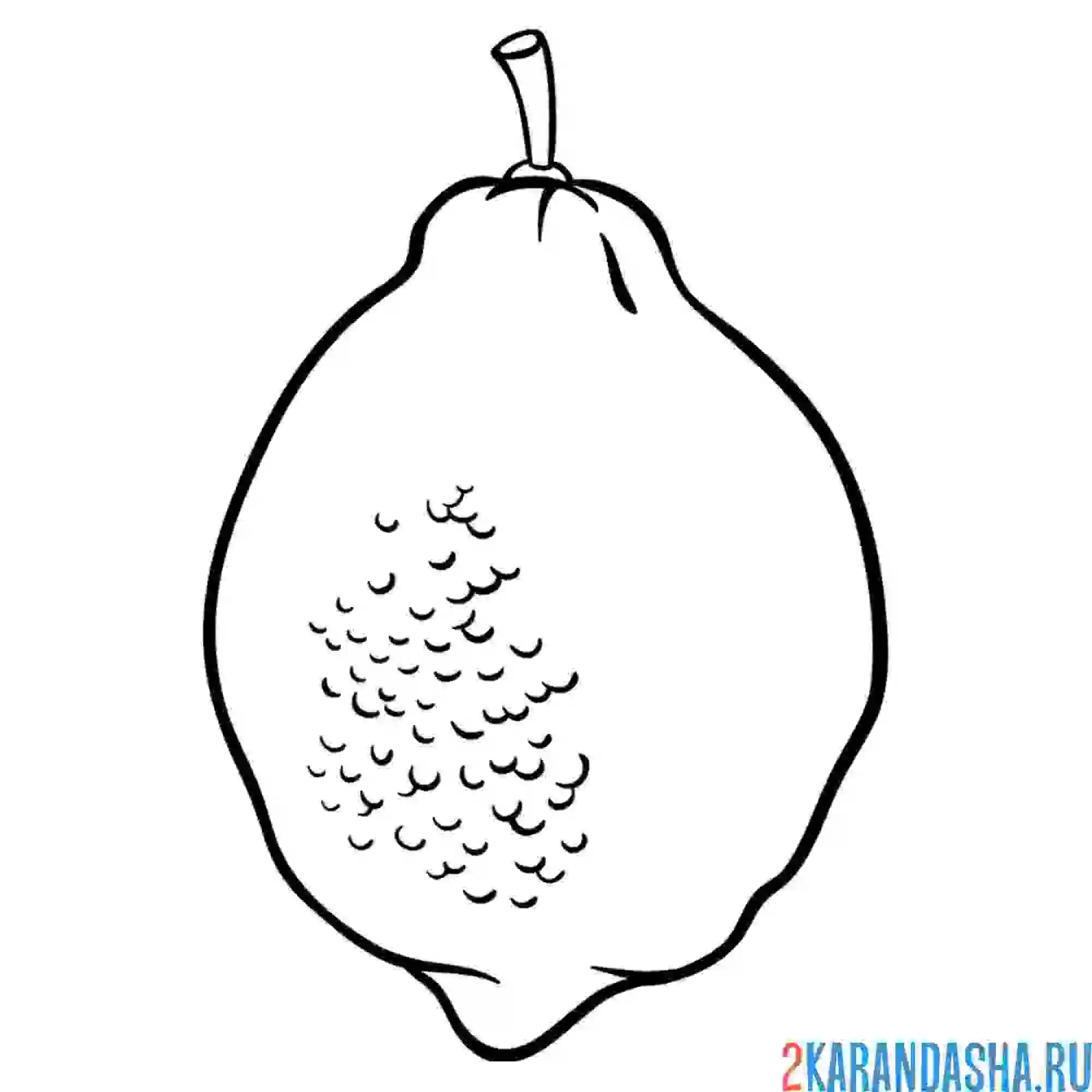 Раскраска лимон