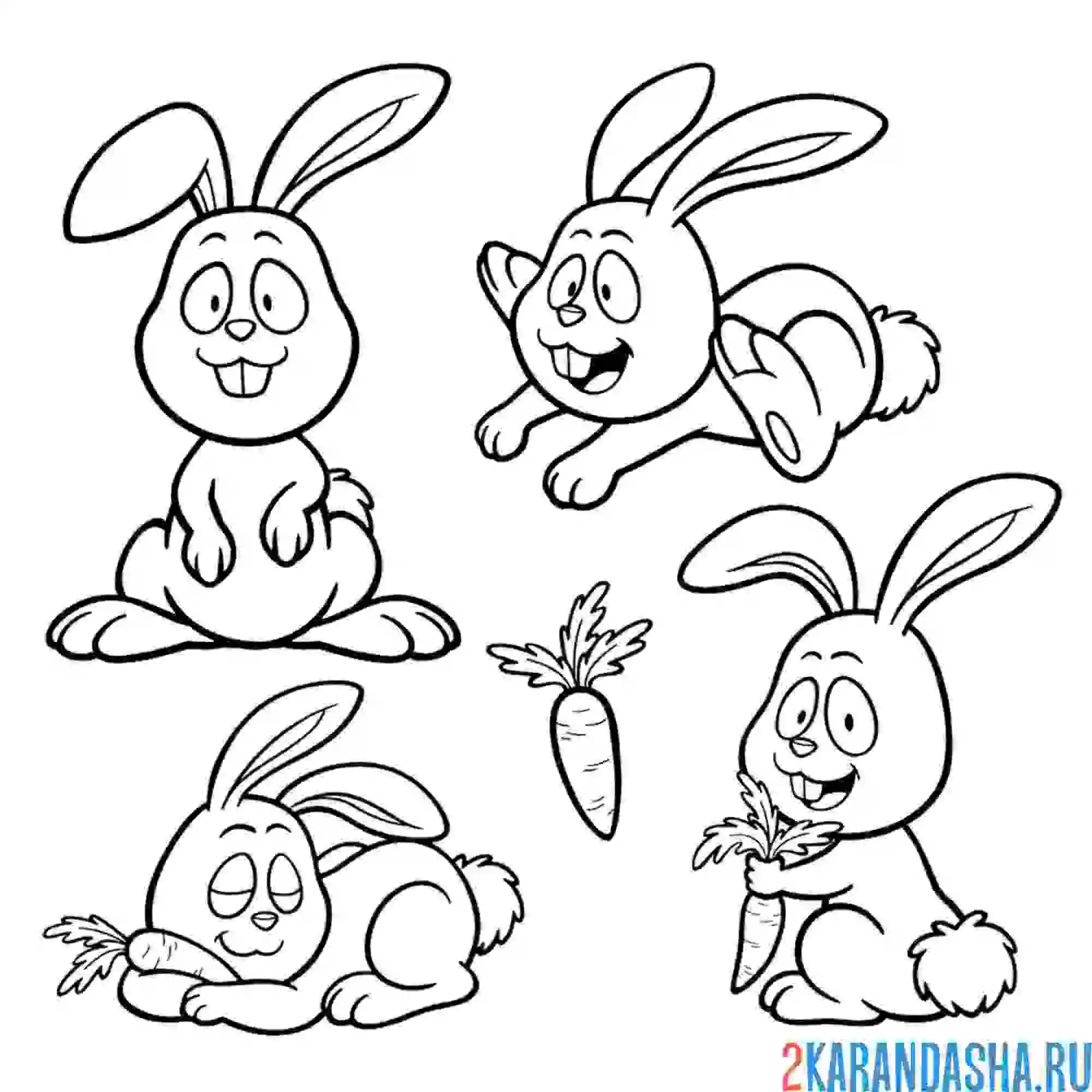 Раскраска милый зайчик с морковкой