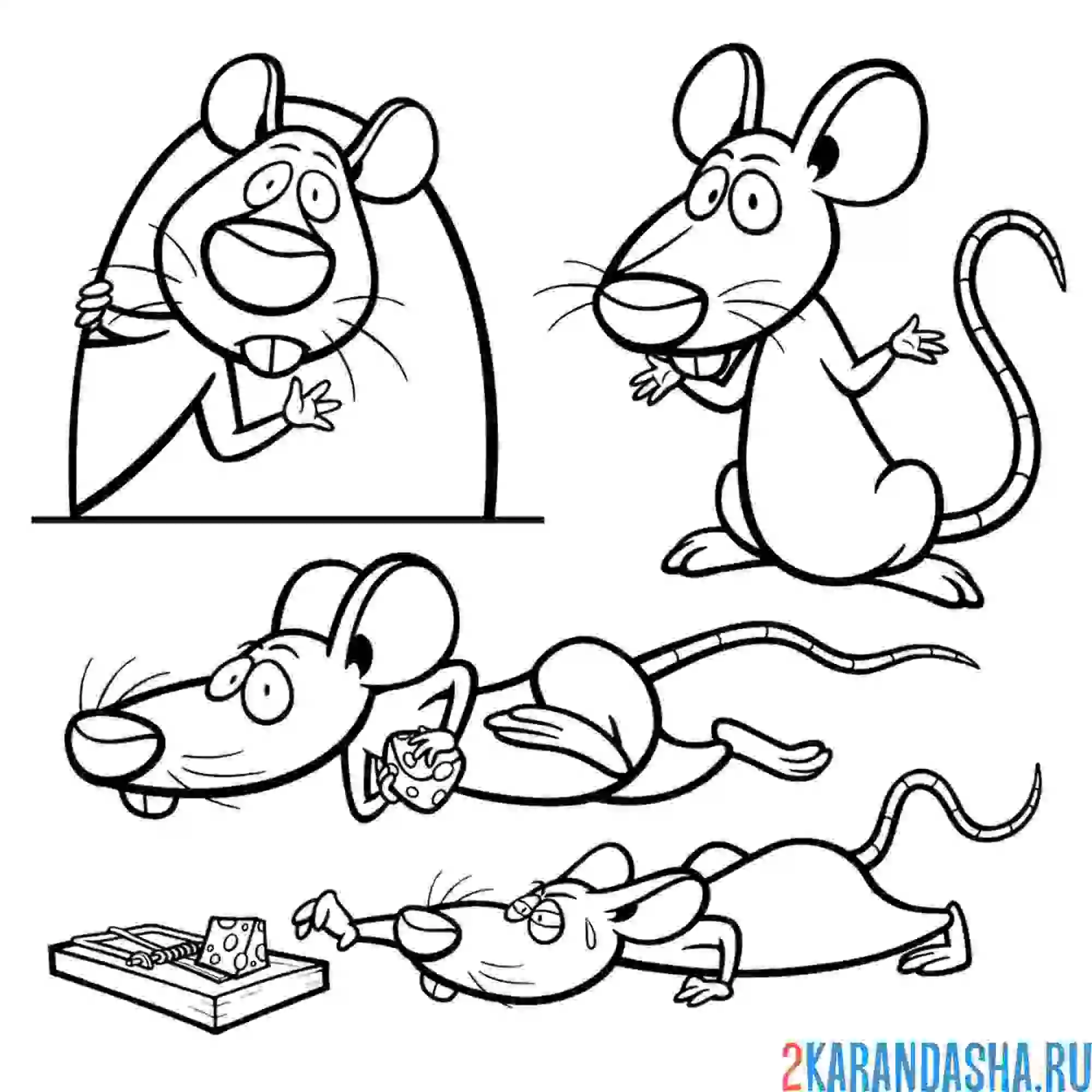 Раскраска смешная мышка