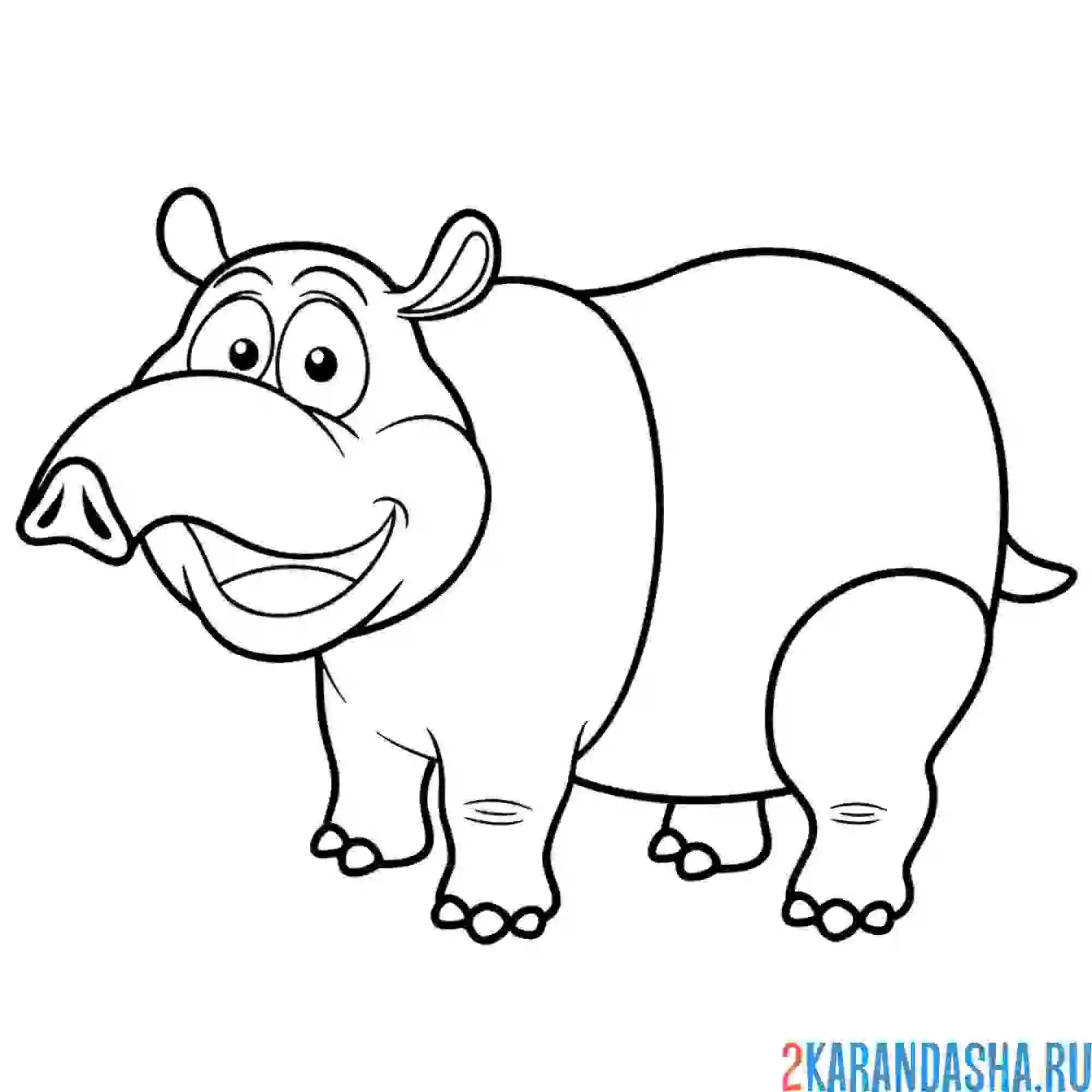 Раскраска животное тапир