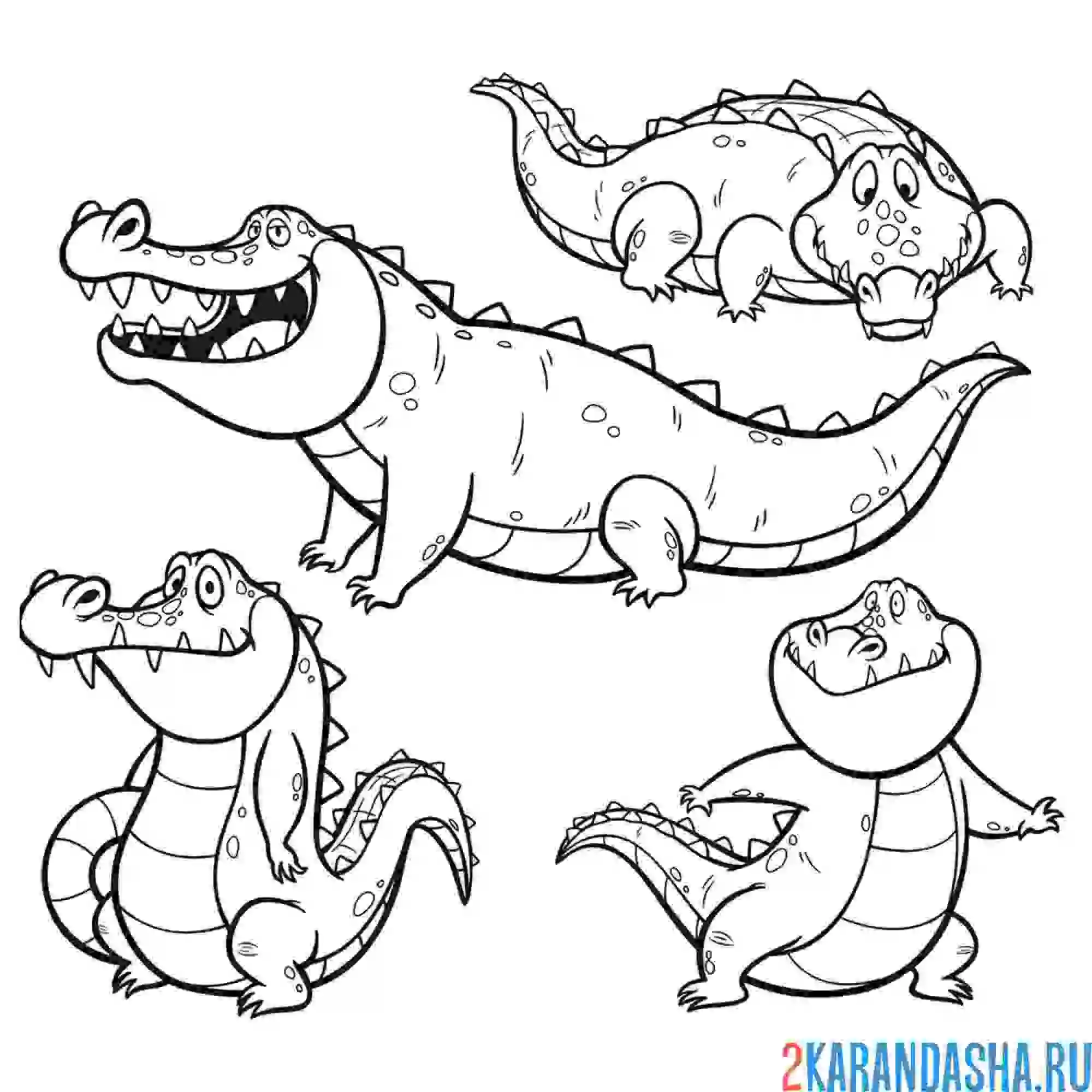 Раскраска крокодилы