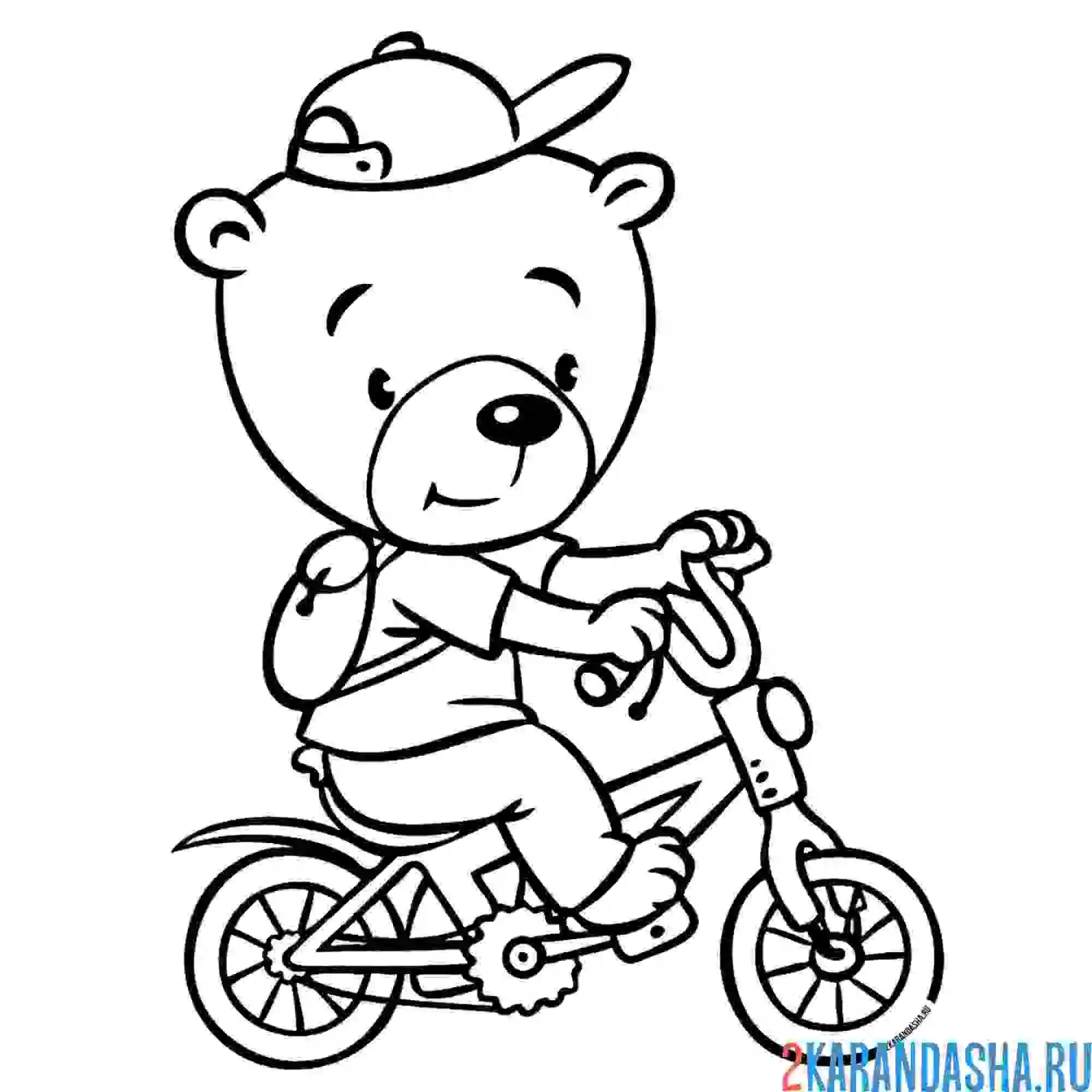Раскраска медведь на велосипеде