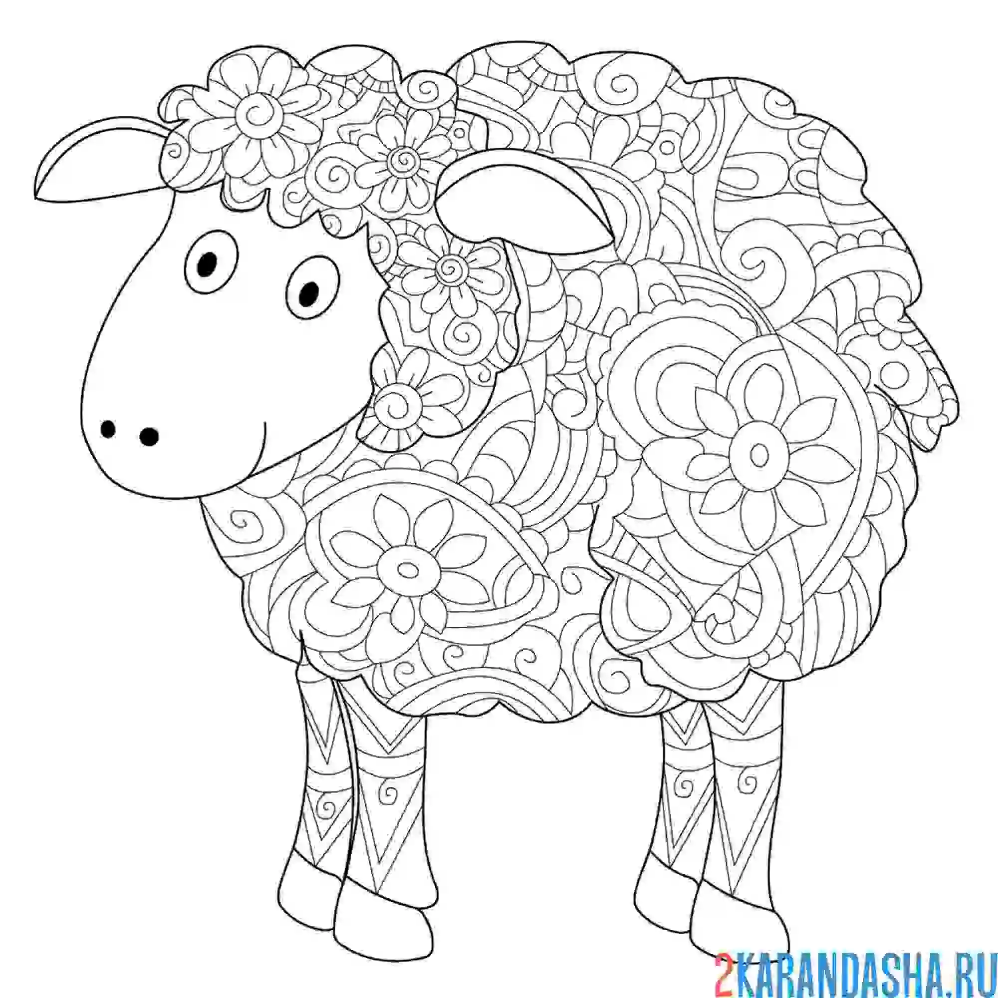 Раскраска животное барашек антистресс