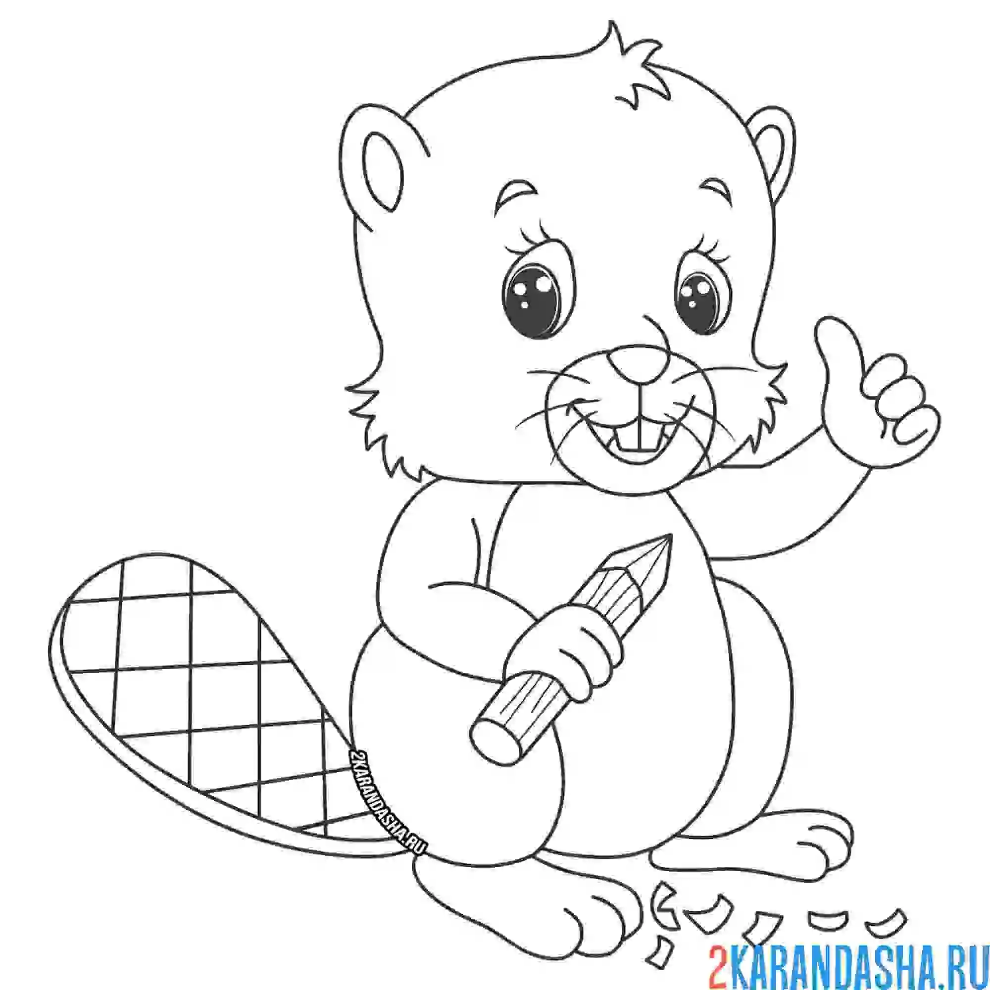Раскраска милый бобер с карандашом