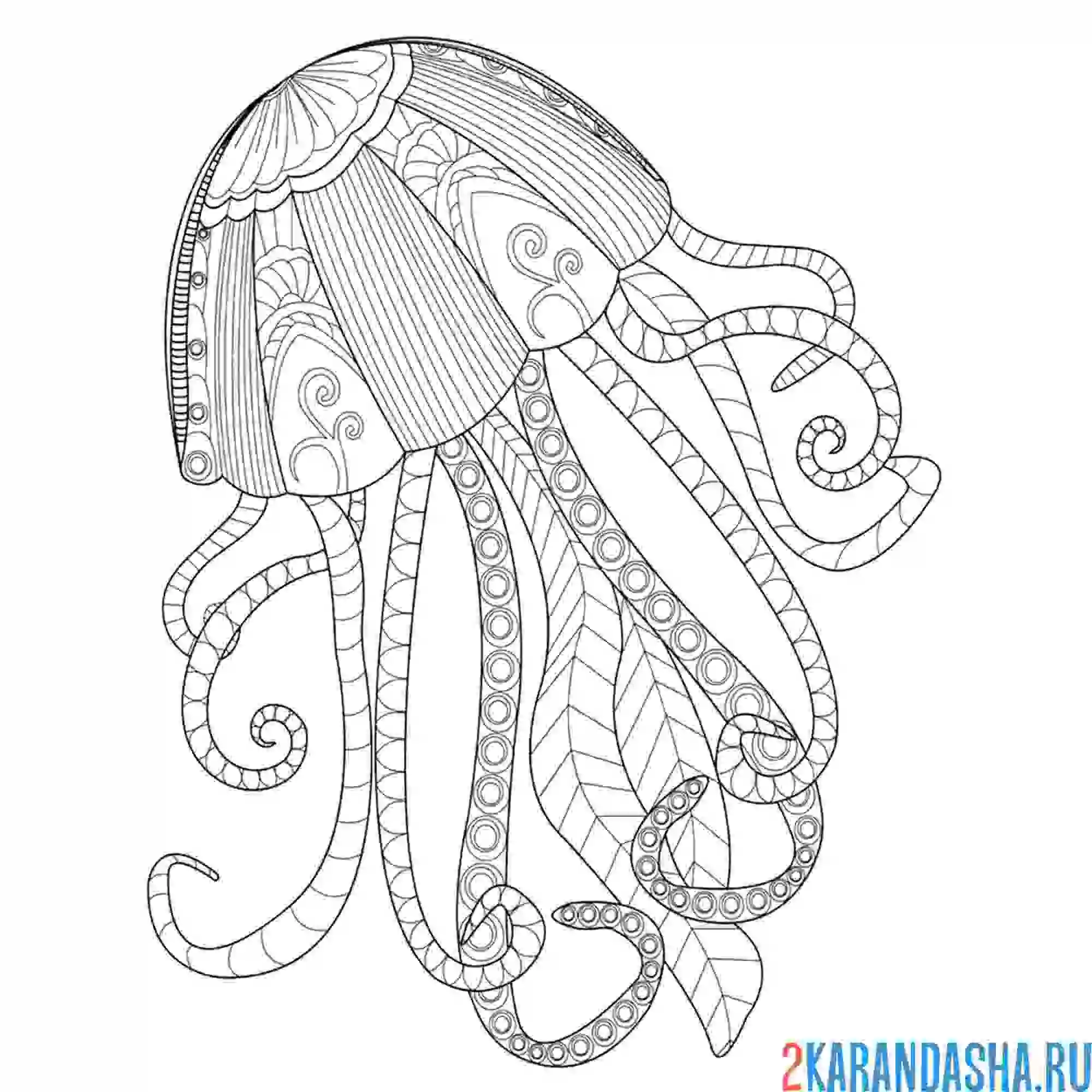 Раскраска антистресс морская медуза