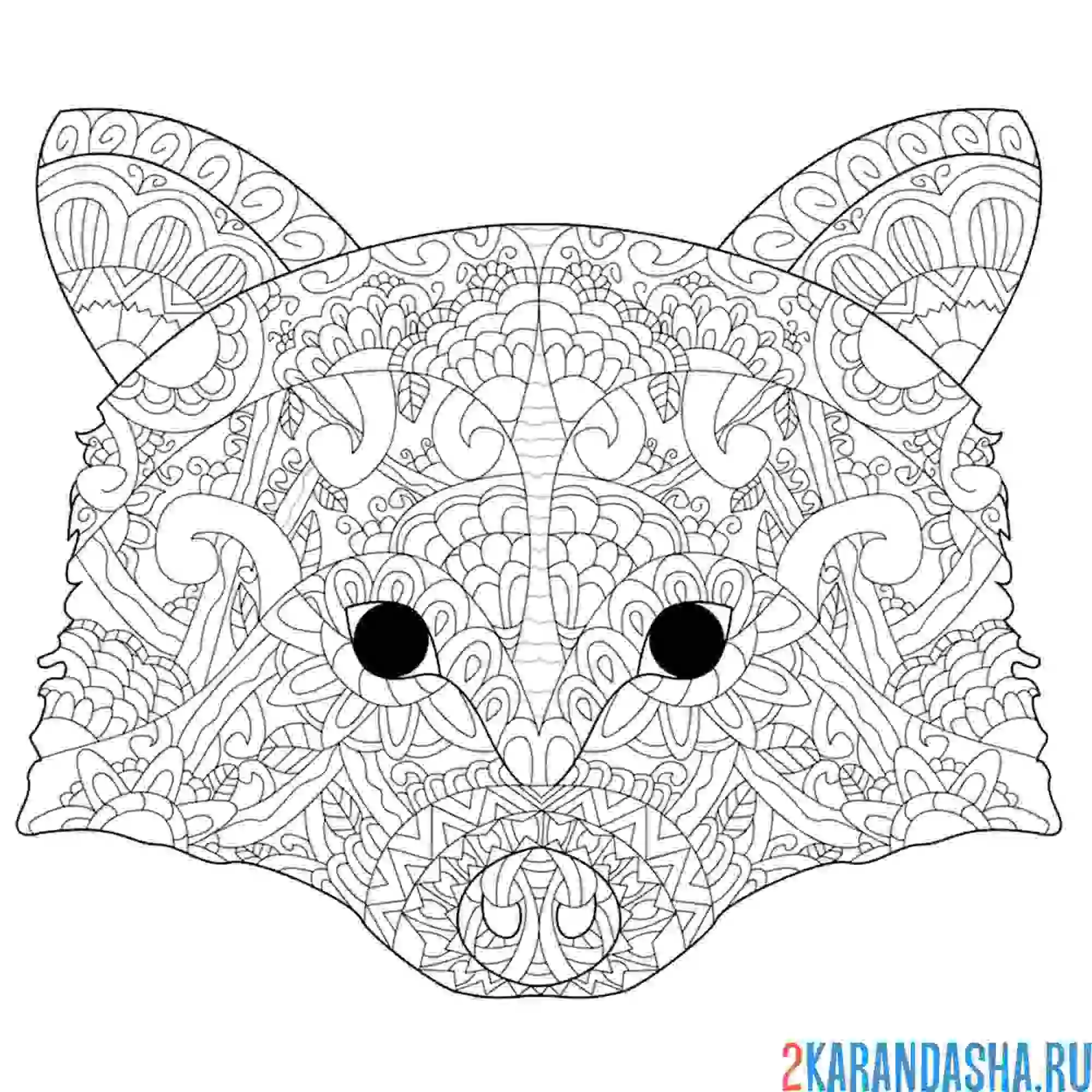 Раскраска антистресс енот животное