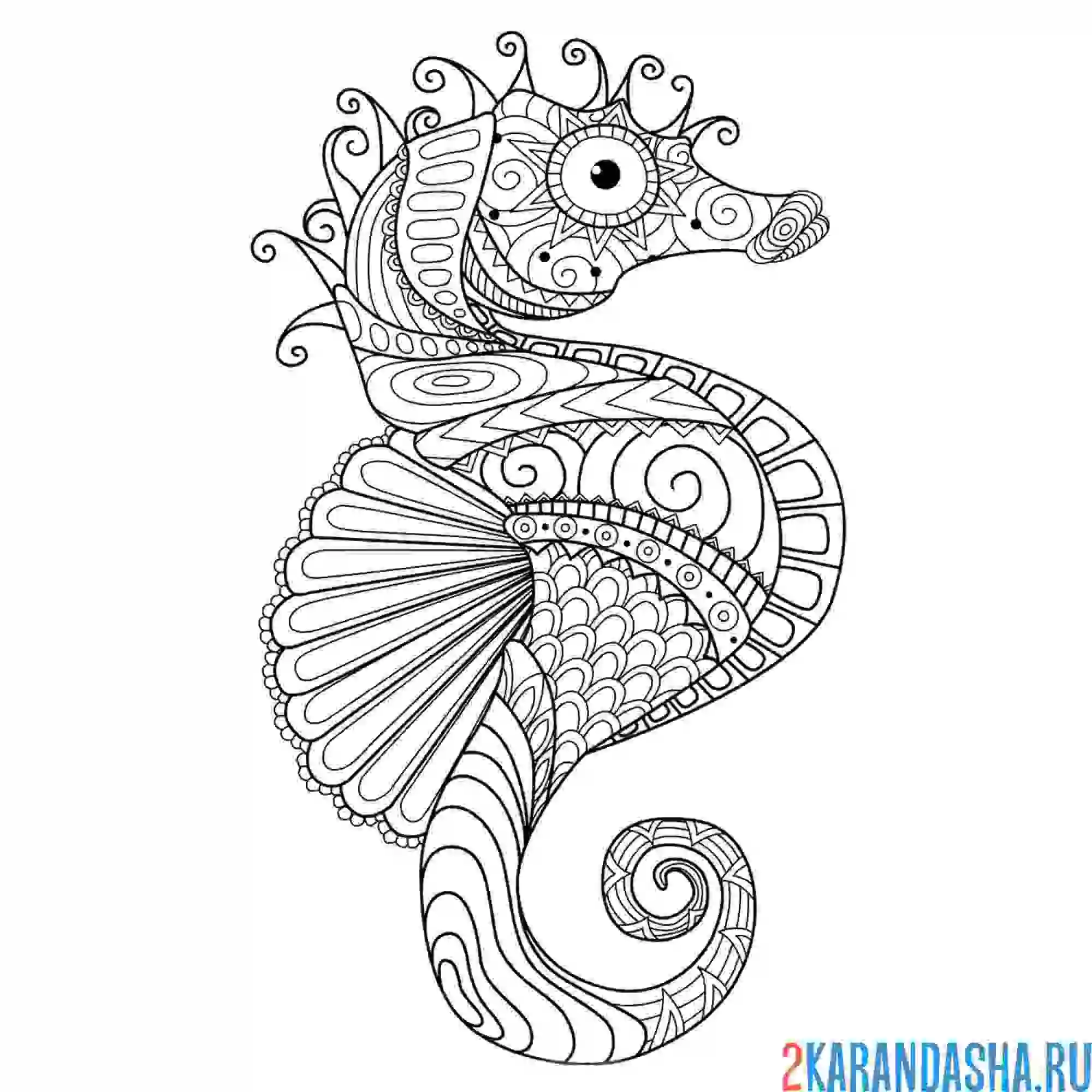 Раскраска морской конек антистресс