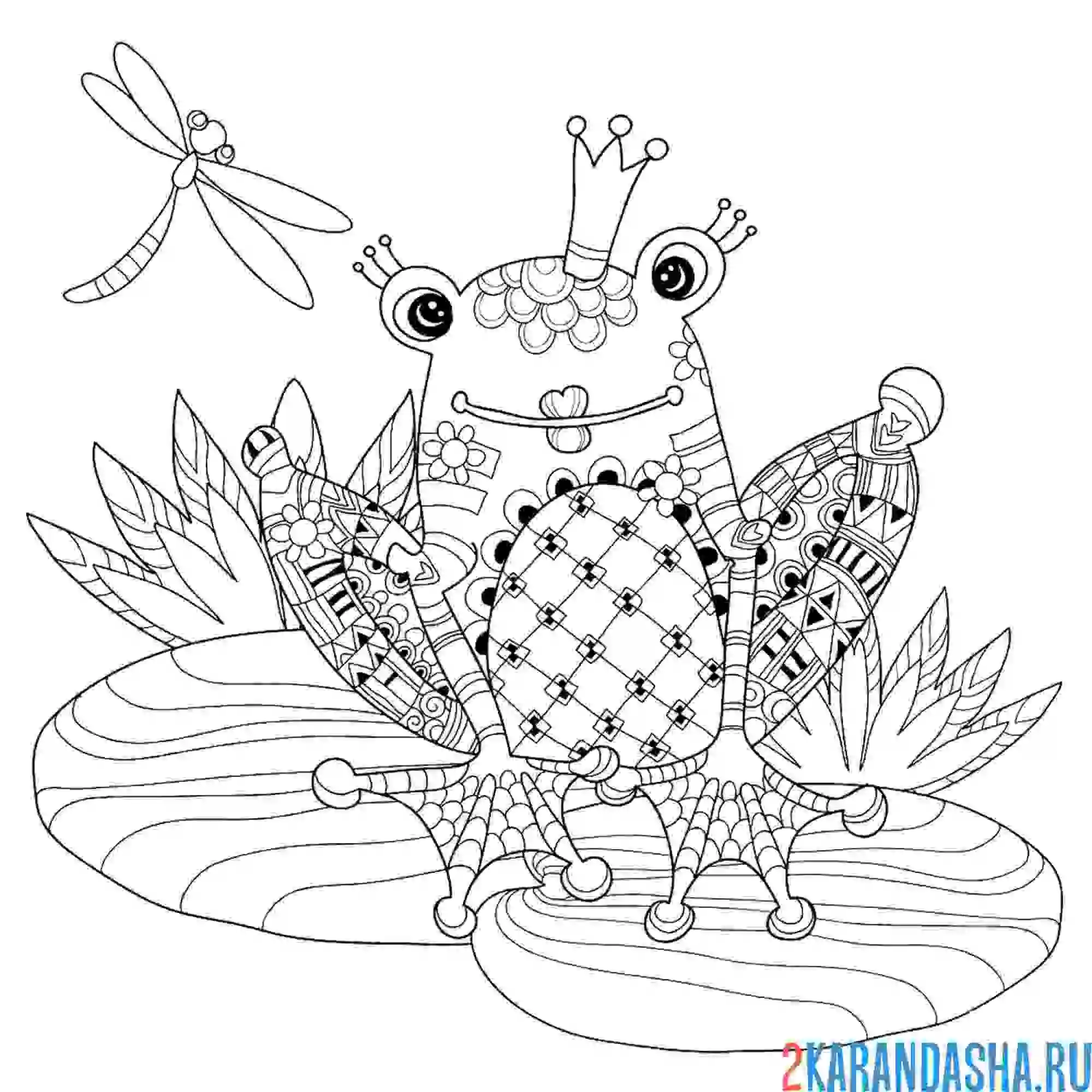 Раскраска бабочка и принцесса лягушка