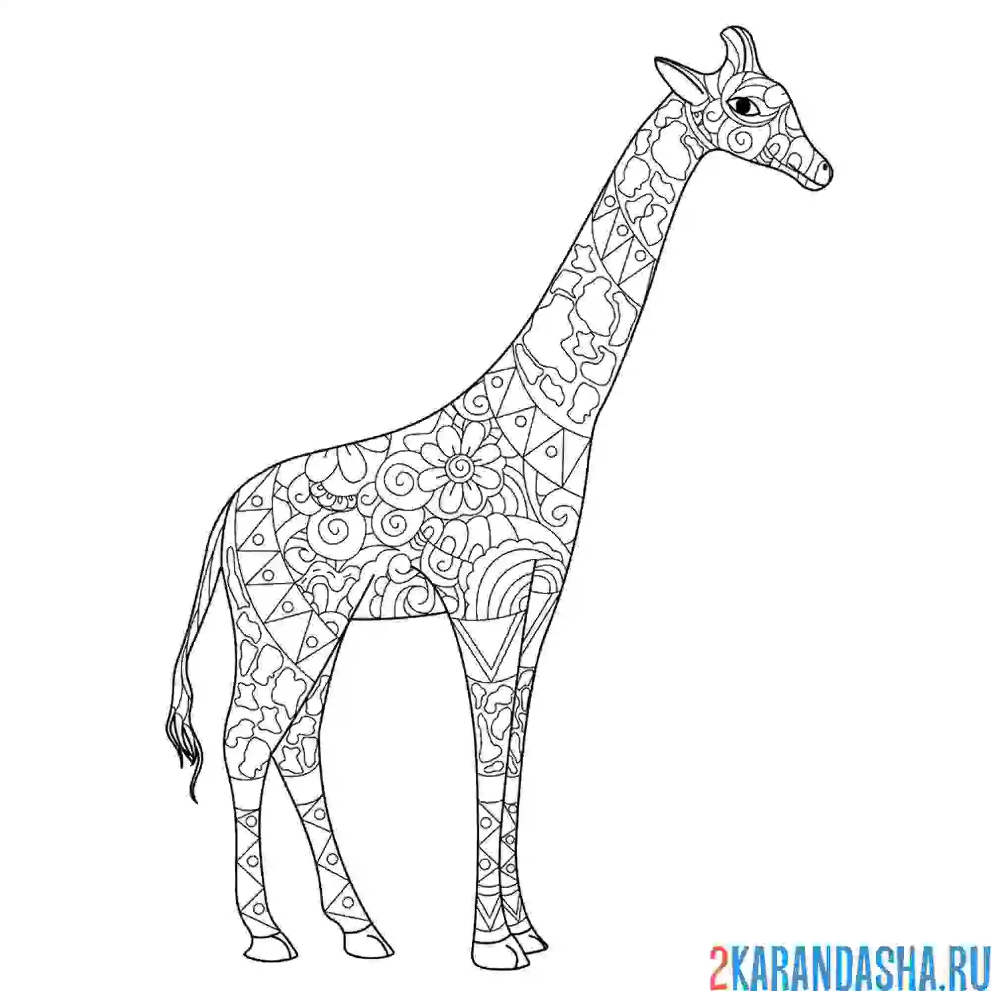 Раскраска животное жираф антистресс