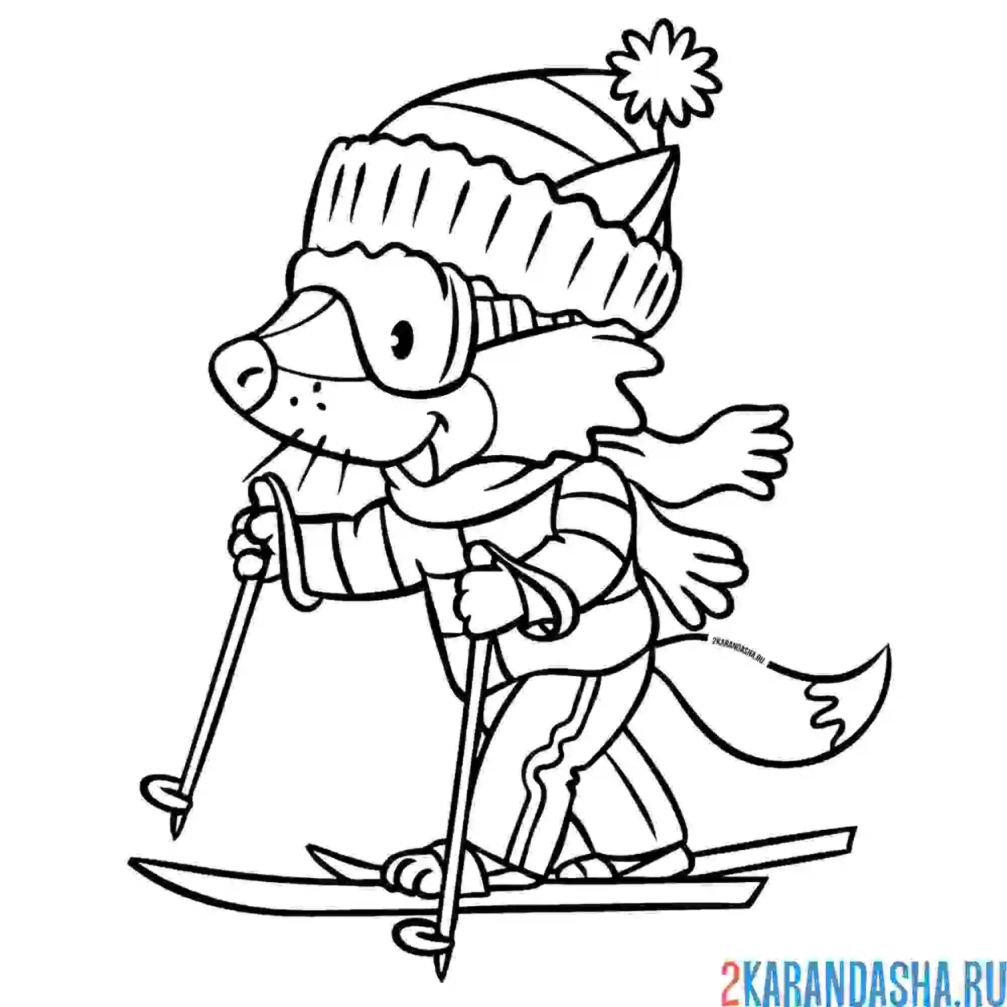 Раскраска лыжник - зимний вид спорта