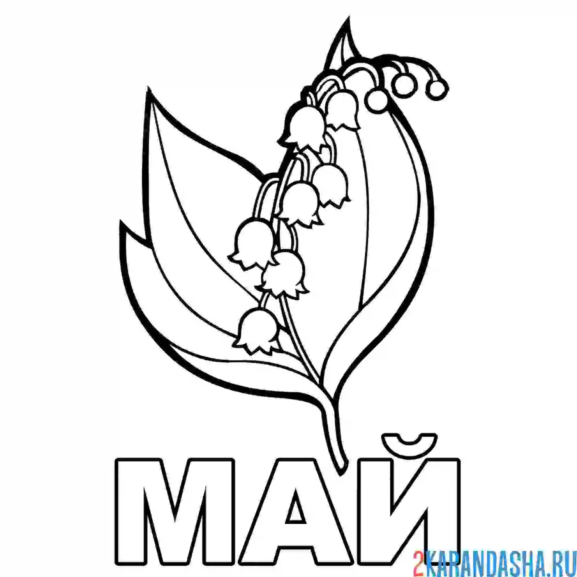 Раскраска ландыш май цветы