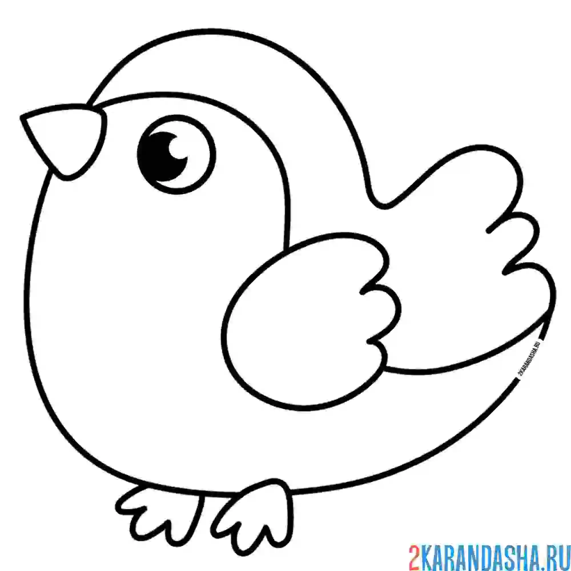 Раскраска маленькая птичка