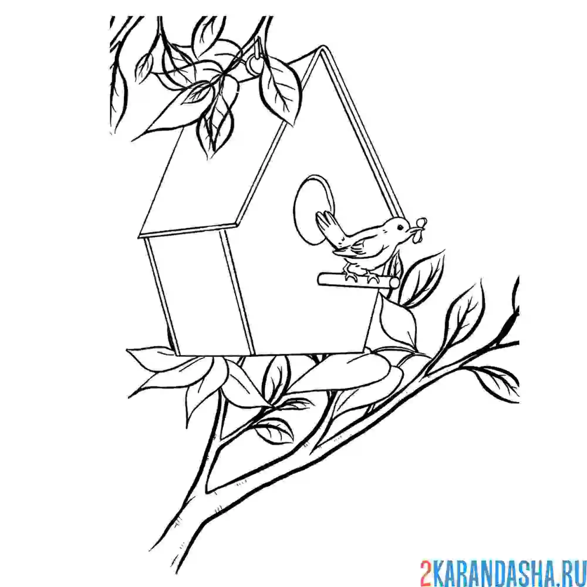 Раскраска скворечник и весенняя ветка