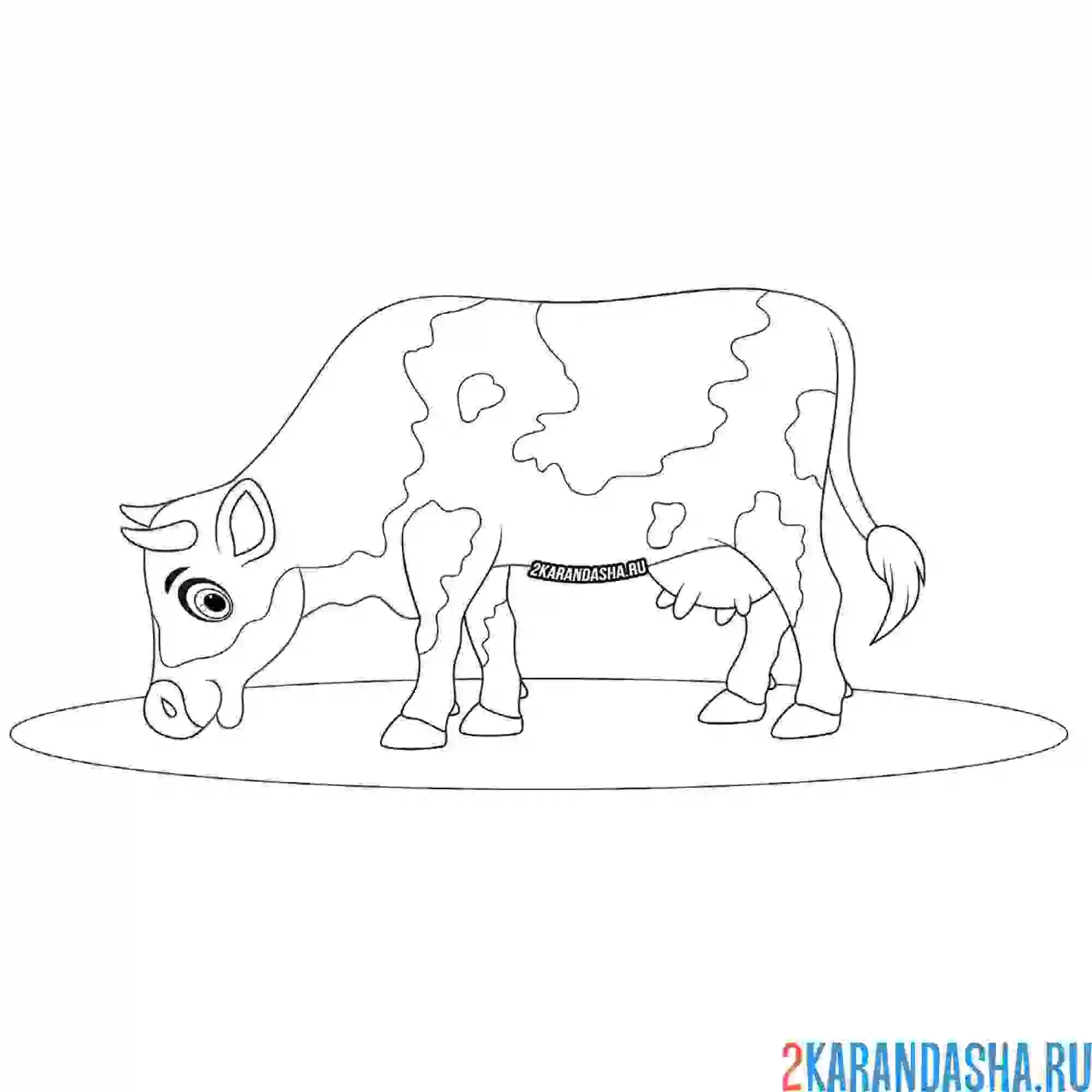 Раскраска корова пасется на лугу