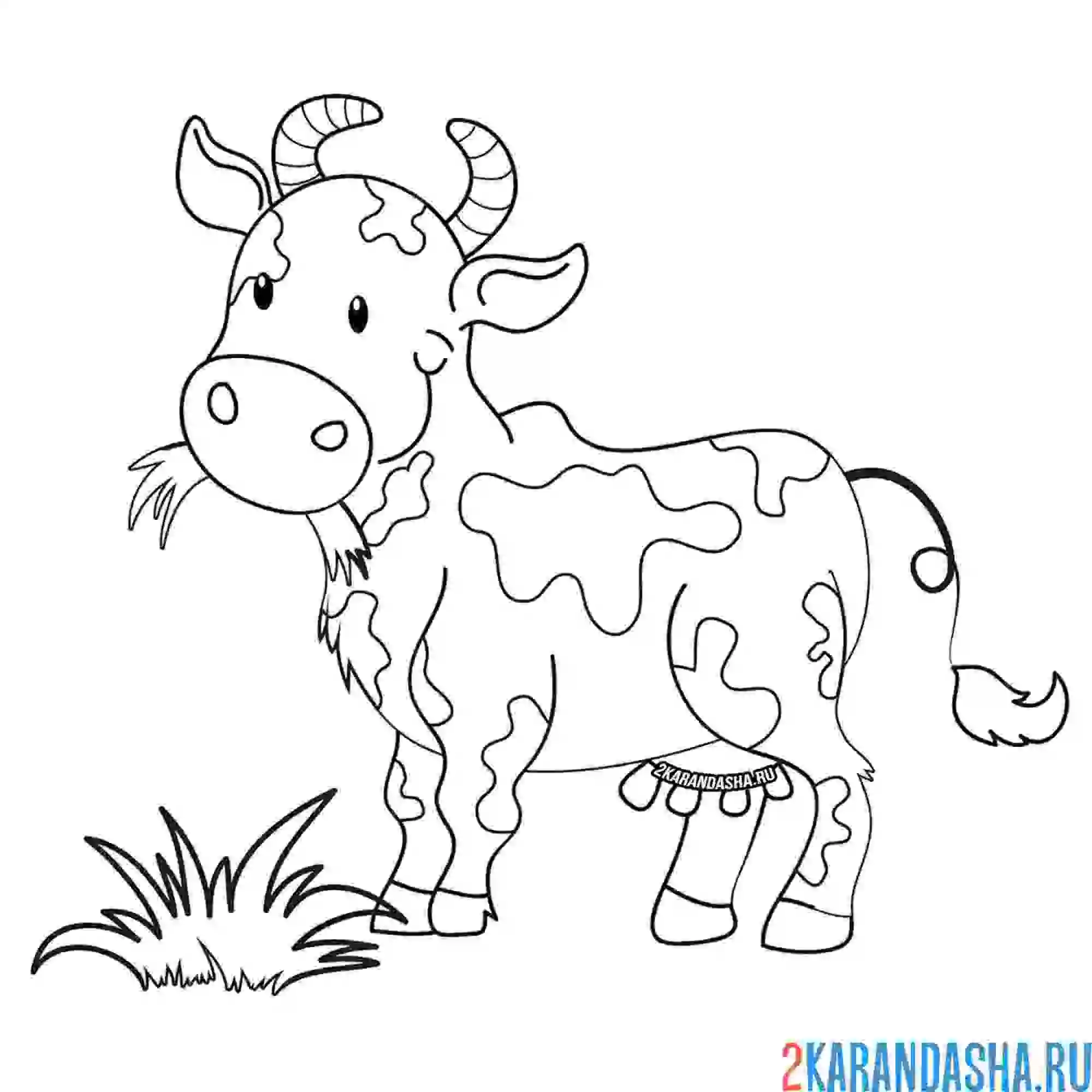 Раскраска корова жует траву