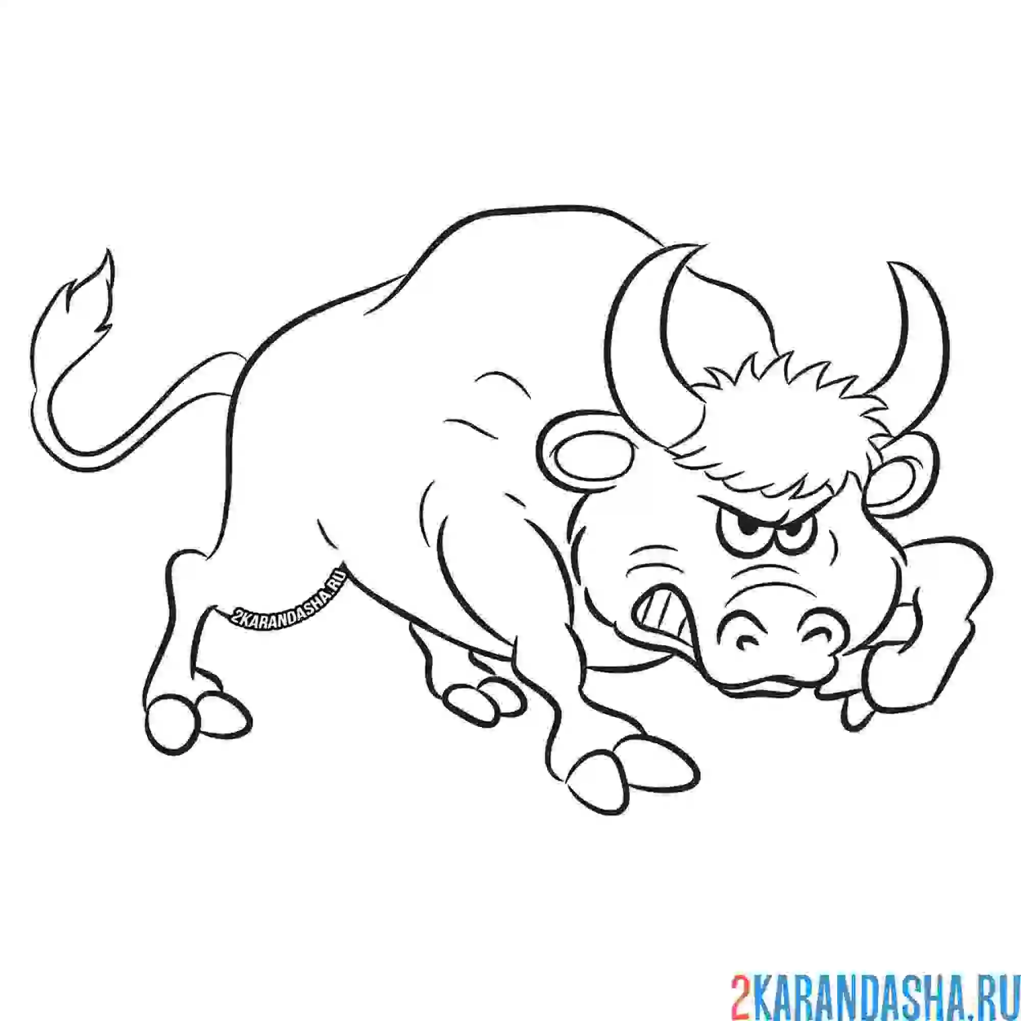 Раскраска сильный бык
