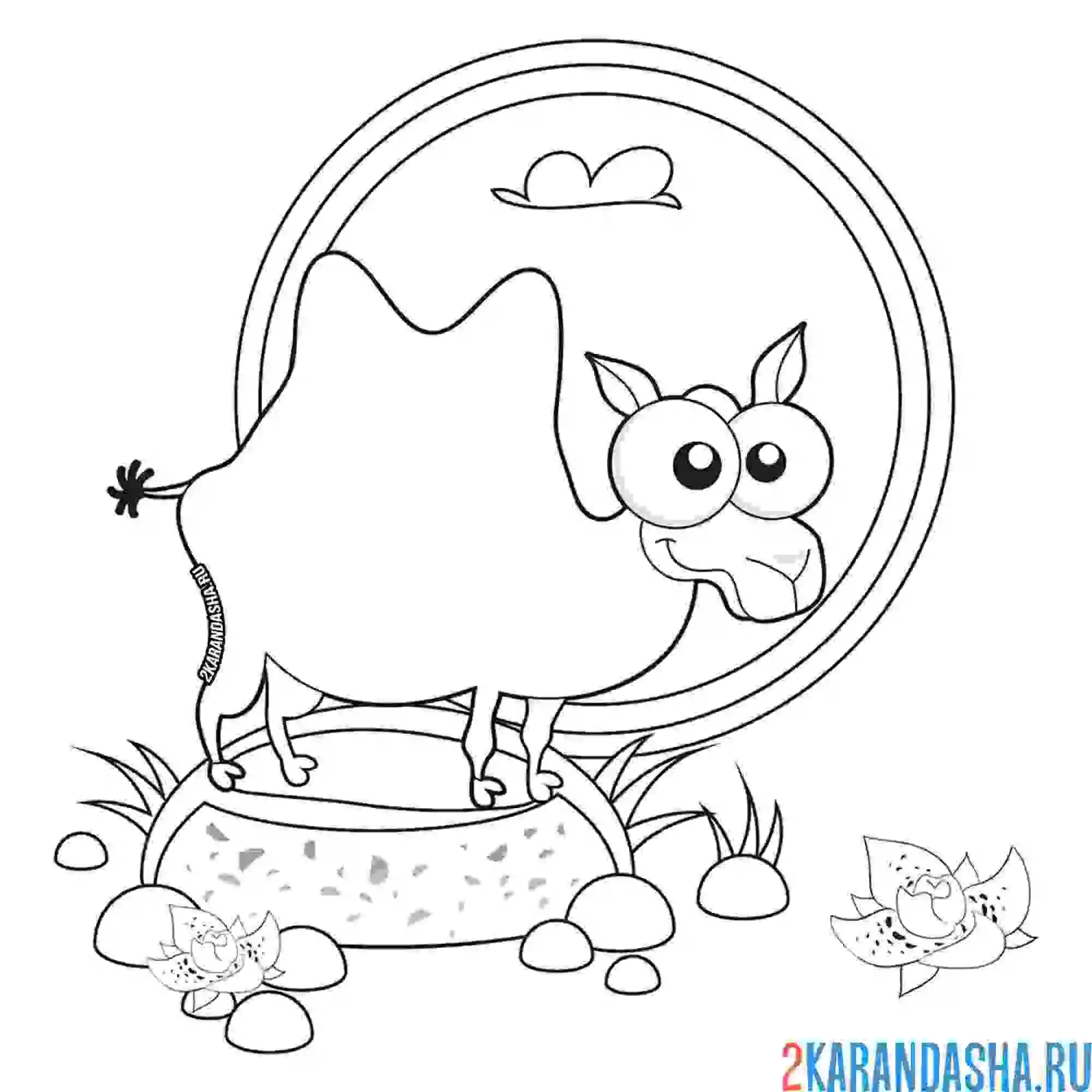 Раскраска верблюжонок на камне