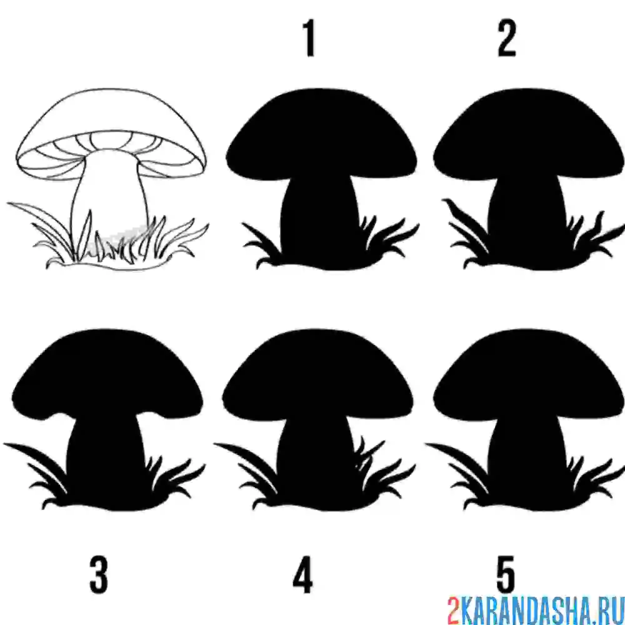 Раскраска гриб для детского сада