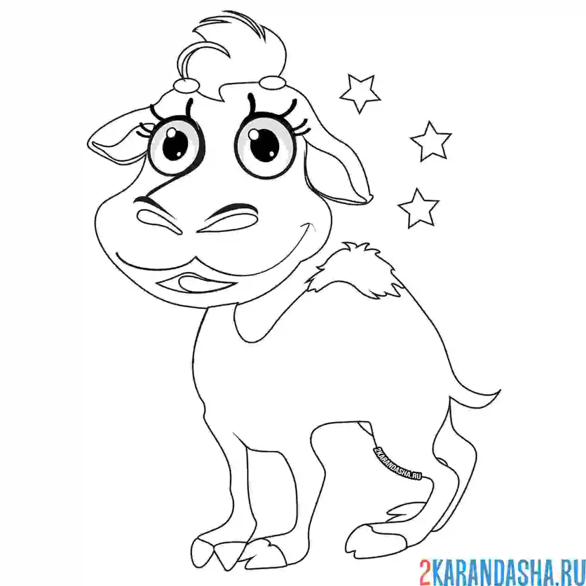 Раскраска верблюжонок в звездах