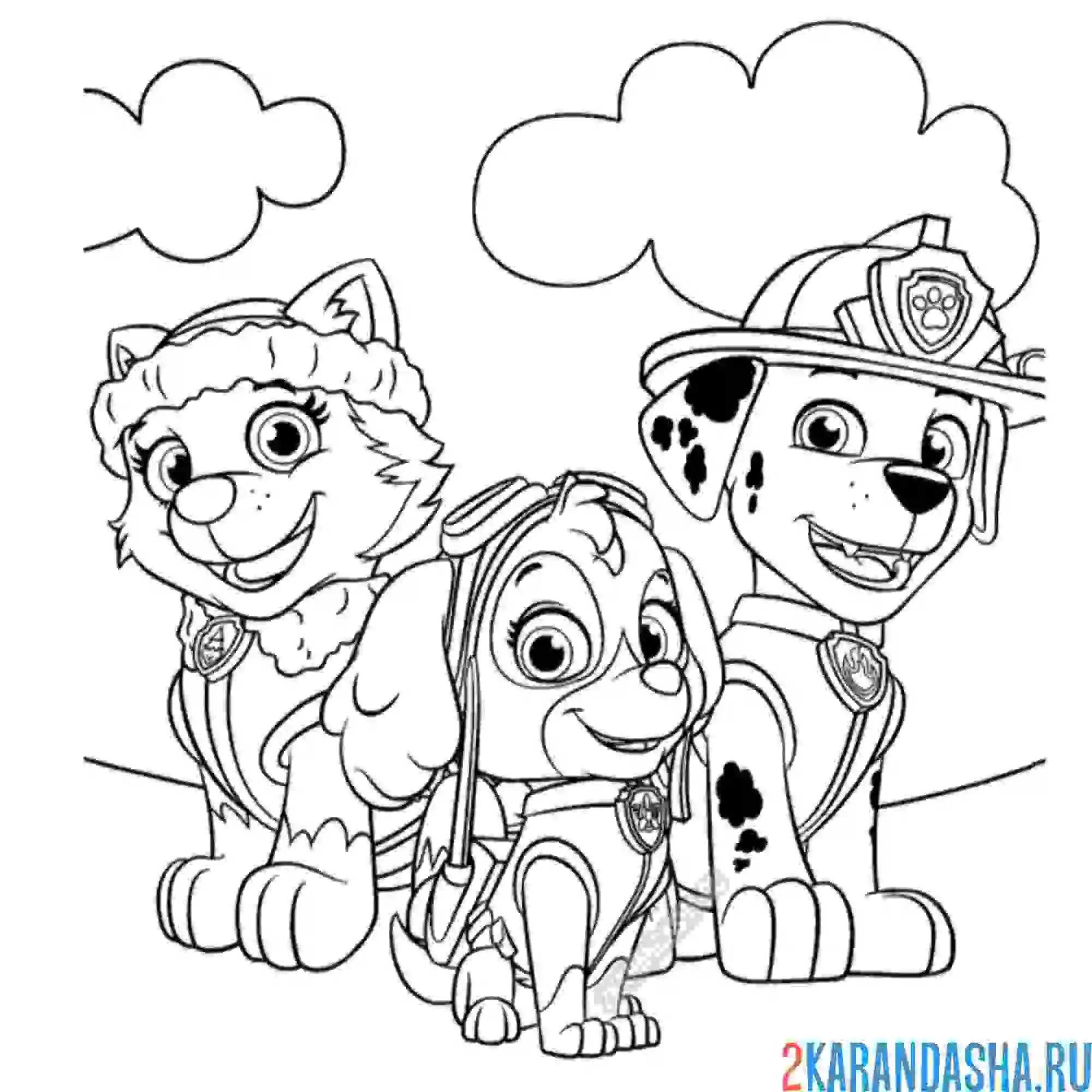 Раскраска эверест, скай и маршал