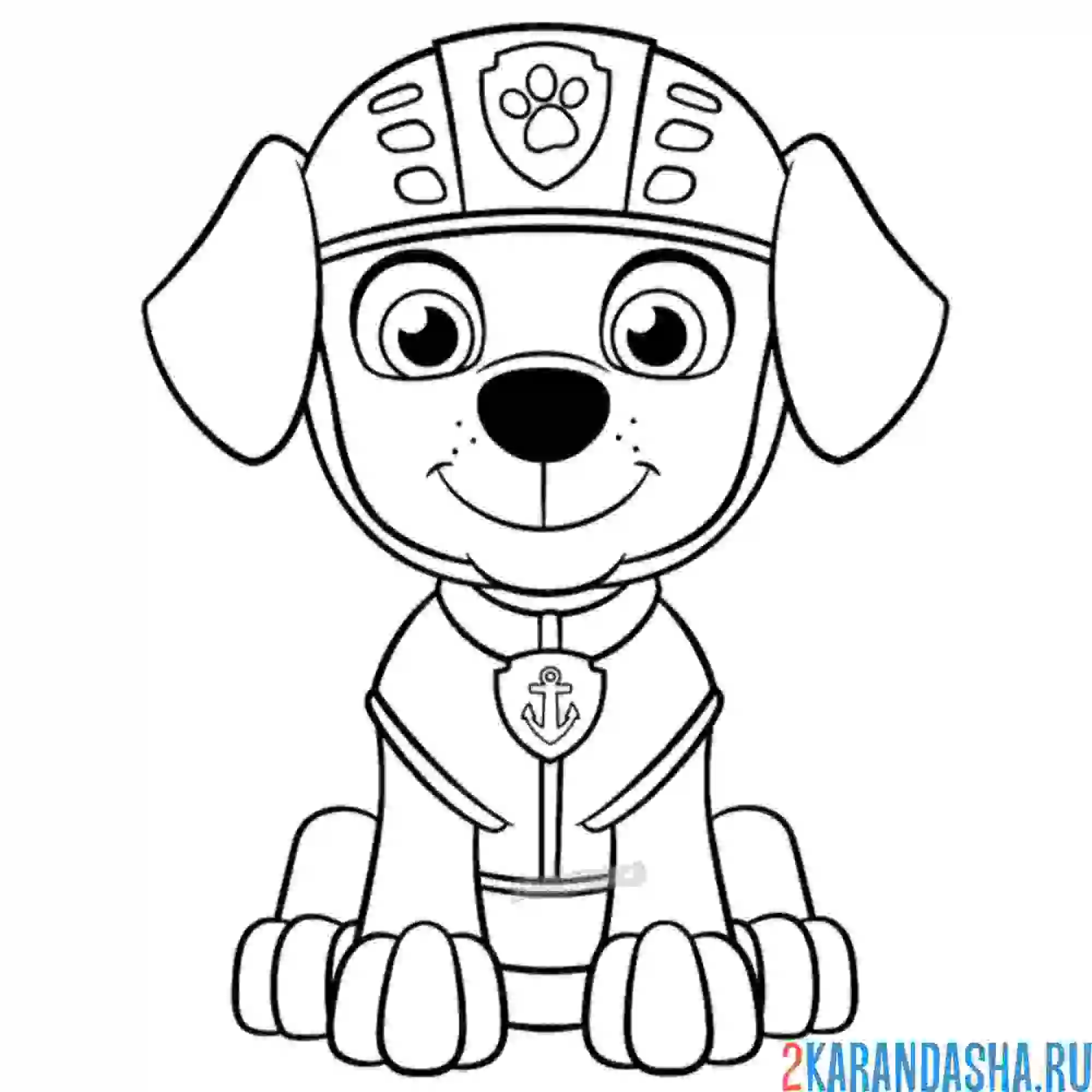 Раскраска зума щенок