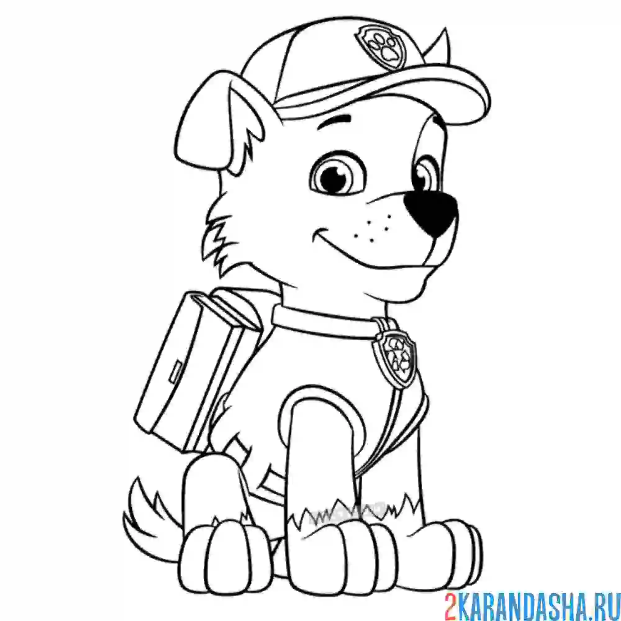 Раскраска рокки сидит