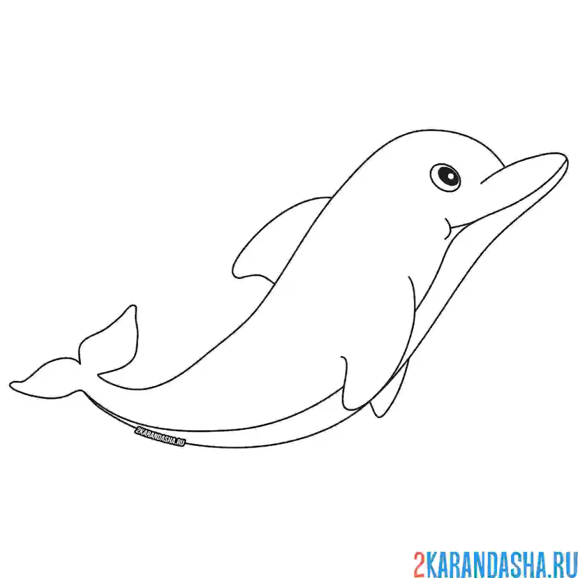 Раскраска дельфин плывет