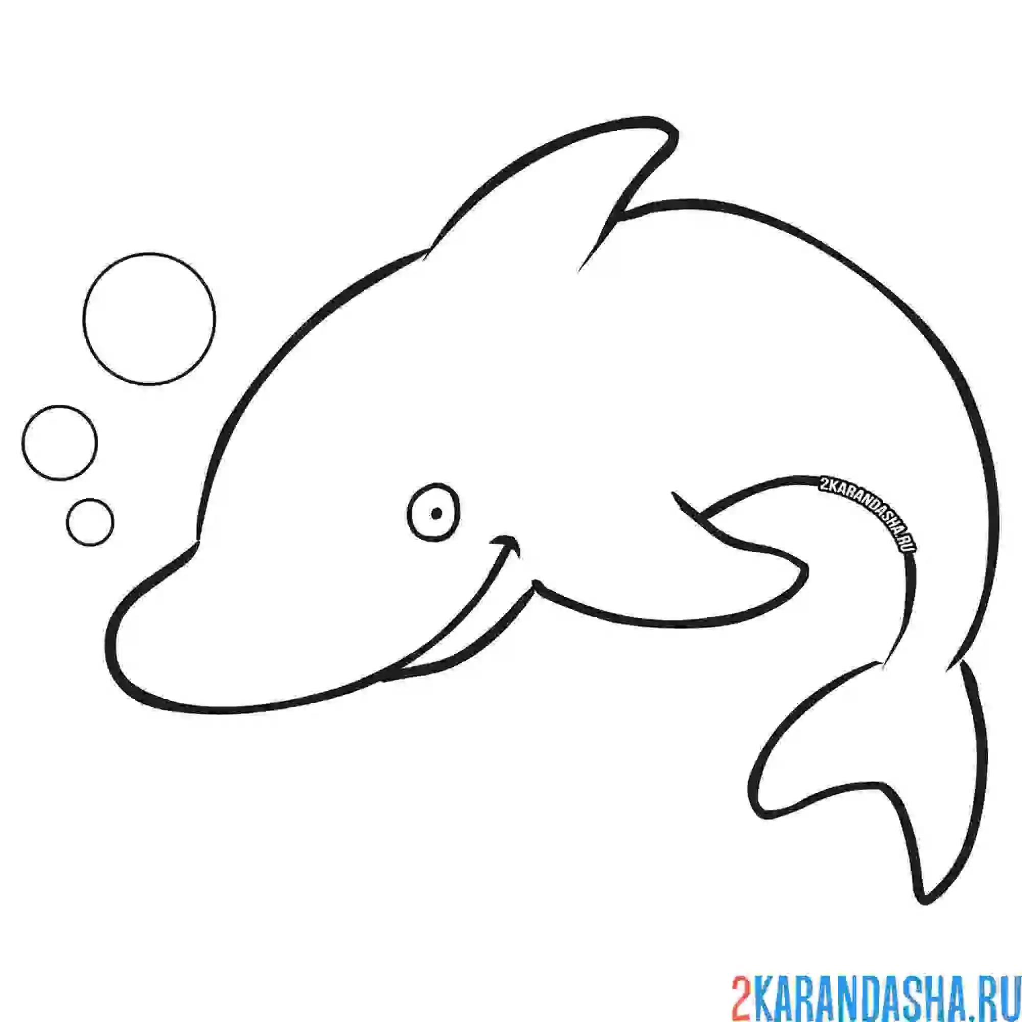 Раскраска дельфин  пускает пузыри
