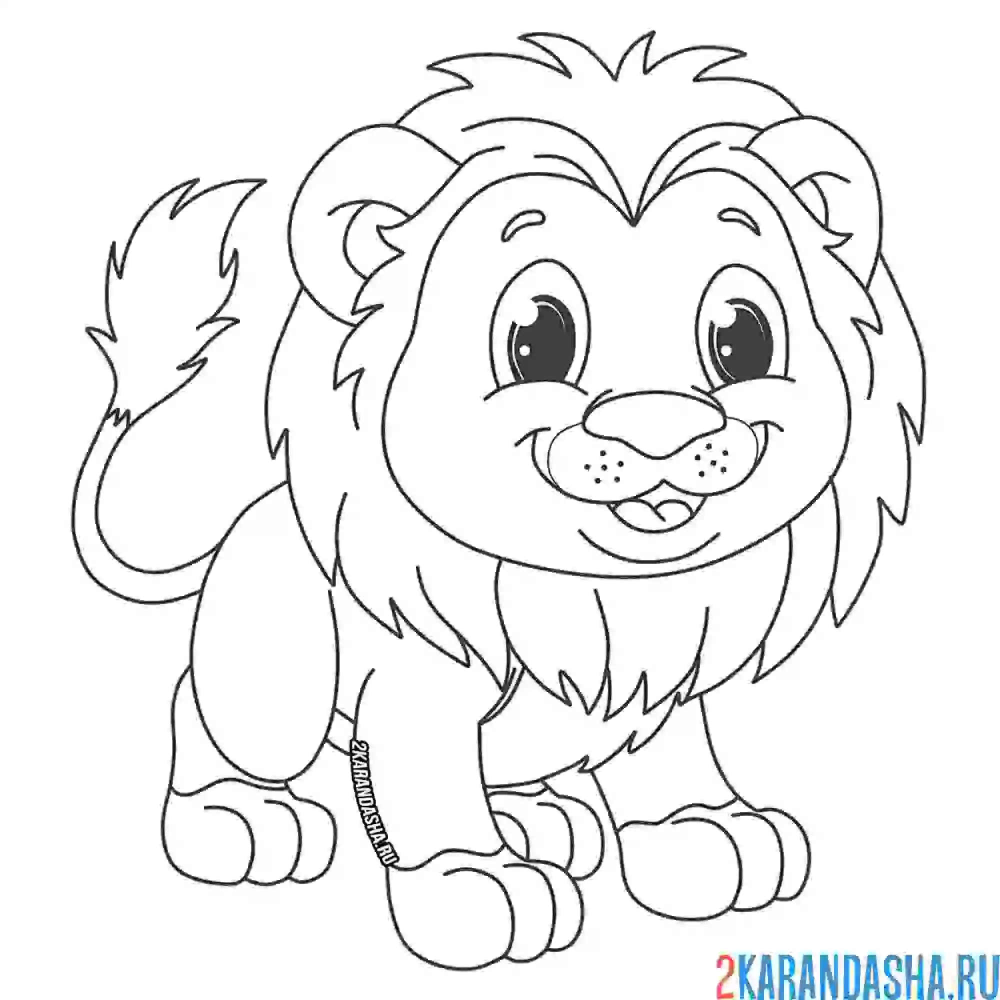 Раскраска лохматый львенок