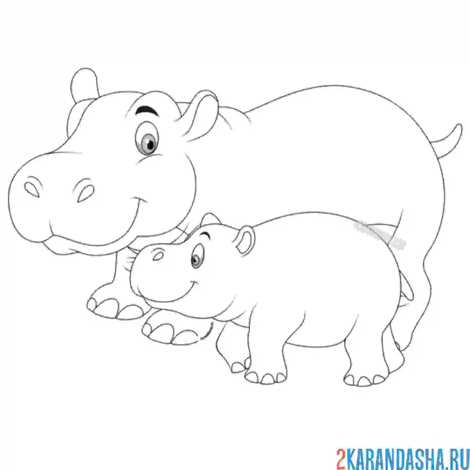 Раскраска мама и детеныш бегемоты