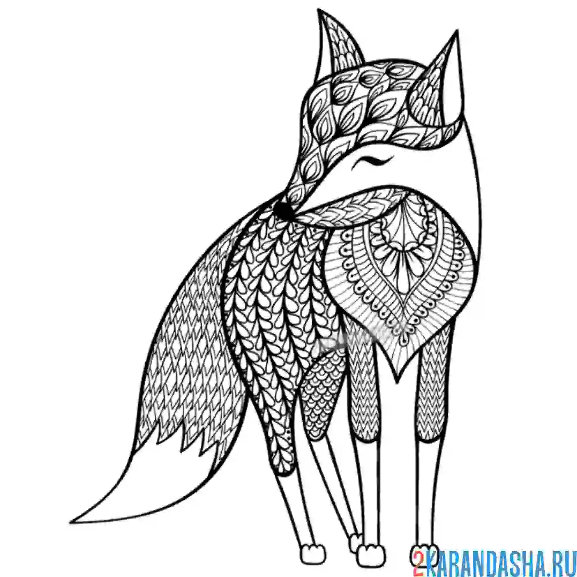 Раскраска лиса