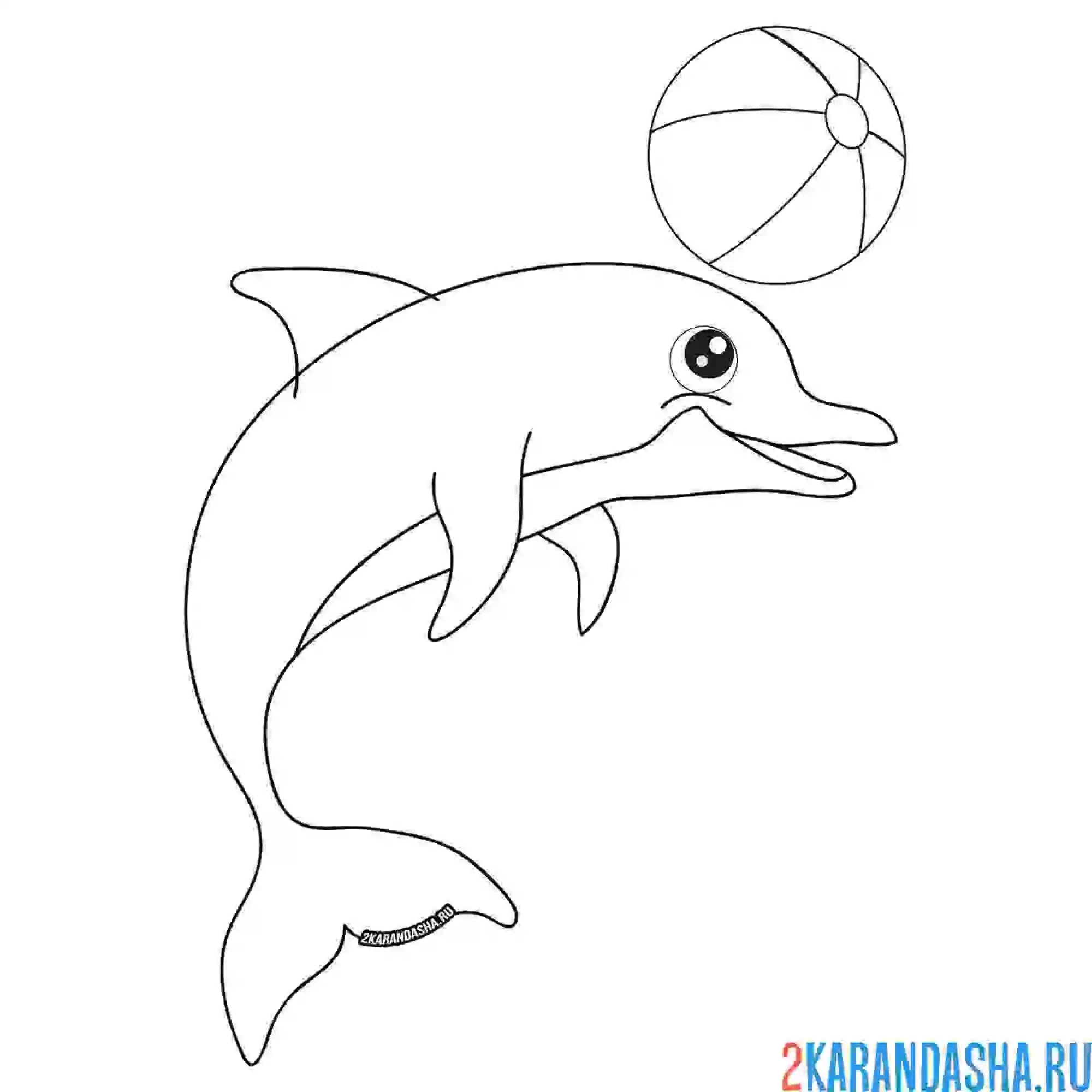 Раскраска дельфин играет с мячом
