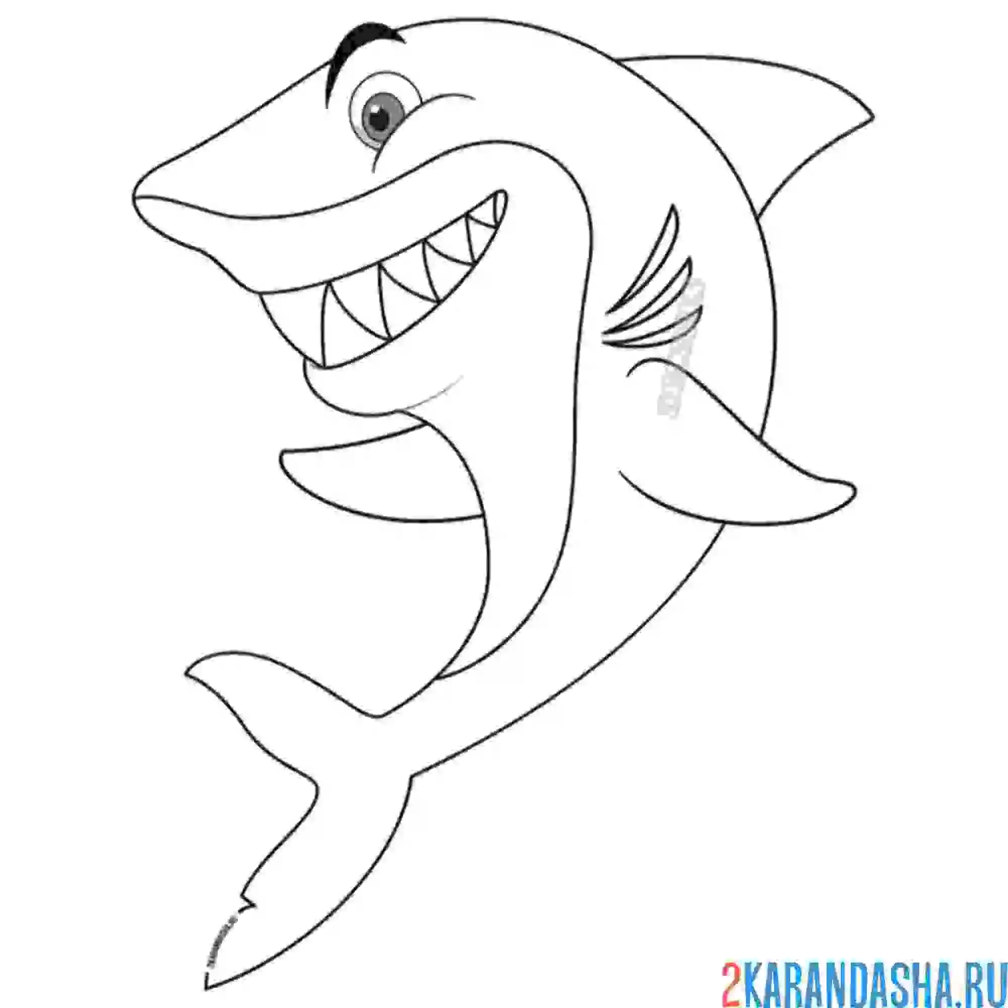 Раскраска улыбающаяся акула