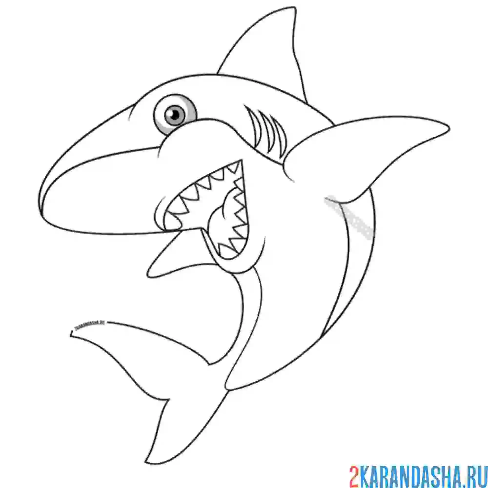 Раскраска синяя акула