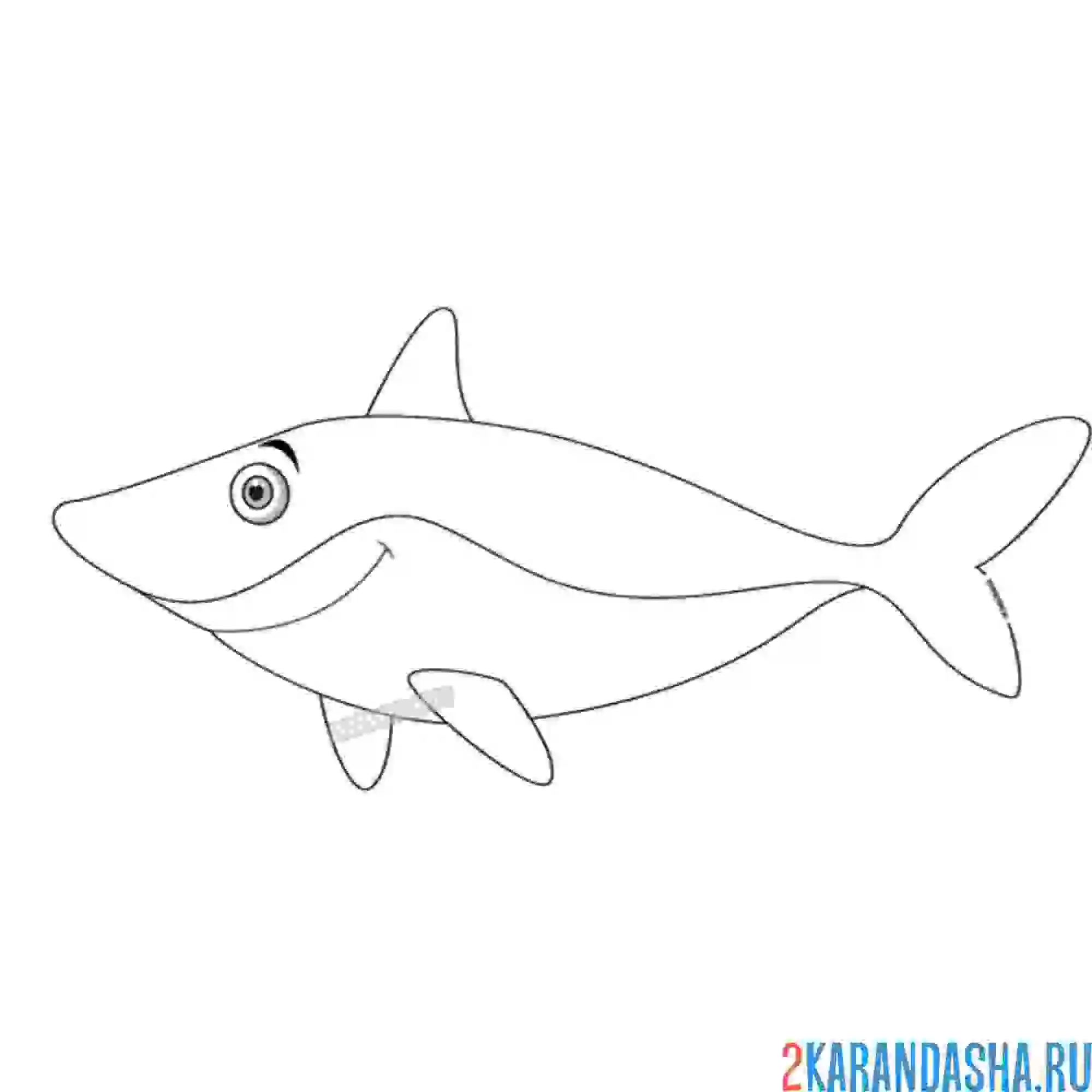 Раскраска большая добрая акула