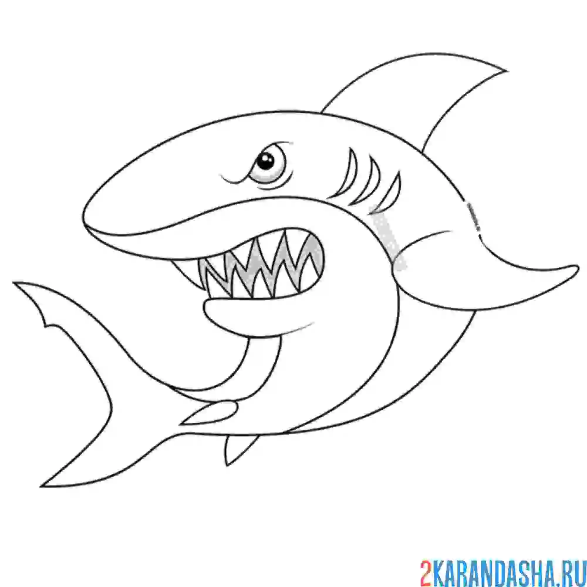 Раскраска белая акула с большими зубами