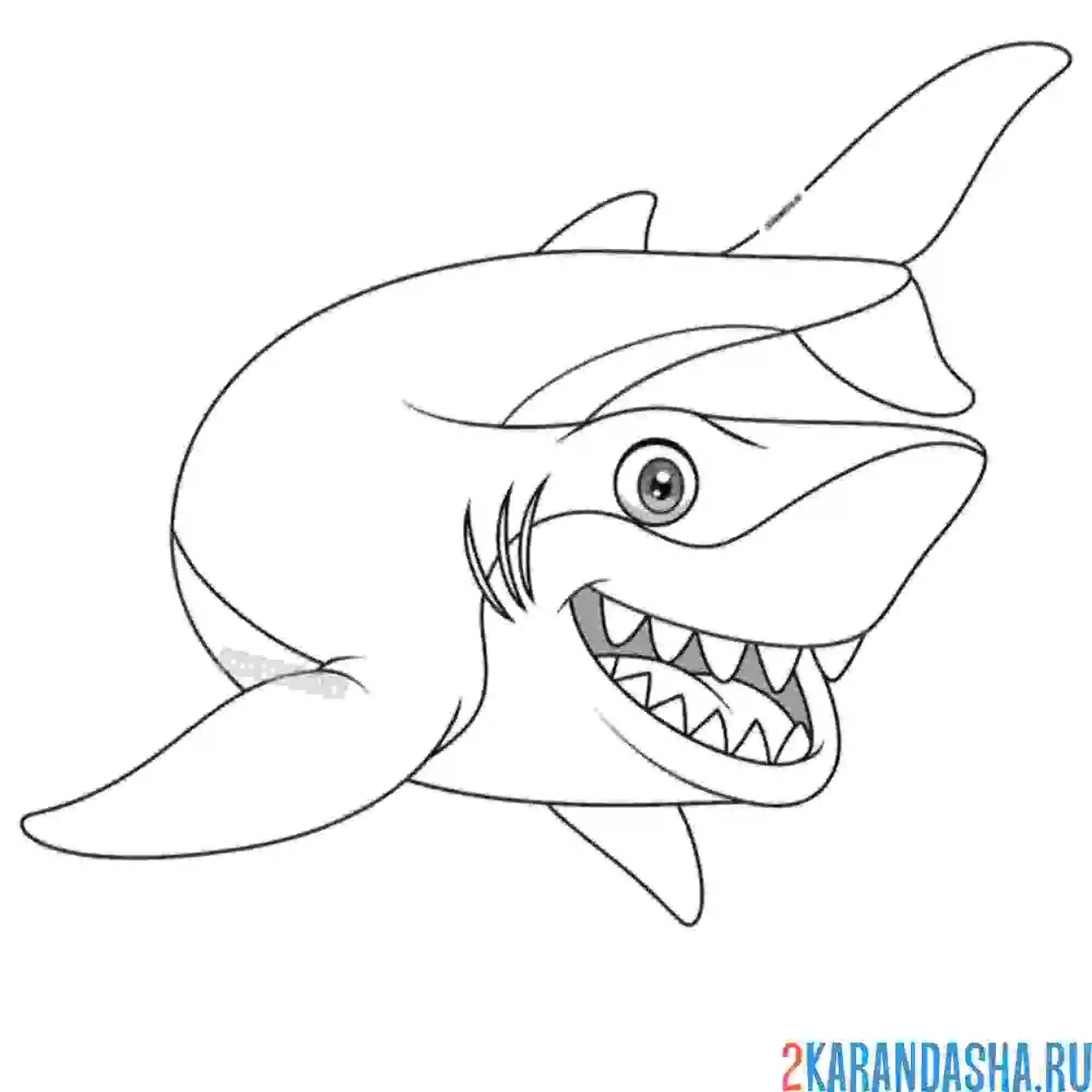 Раскраска акула добрая