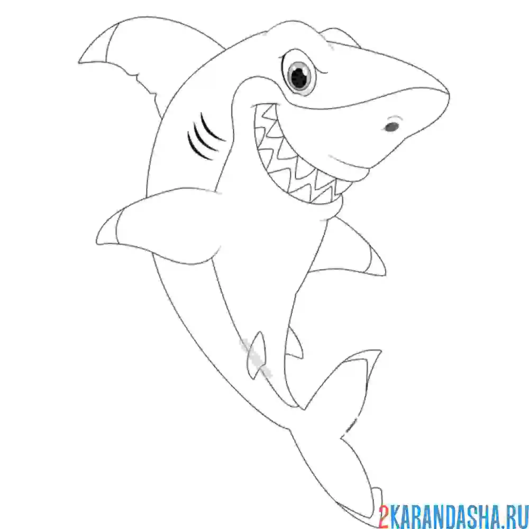 Раскраска носатая акула