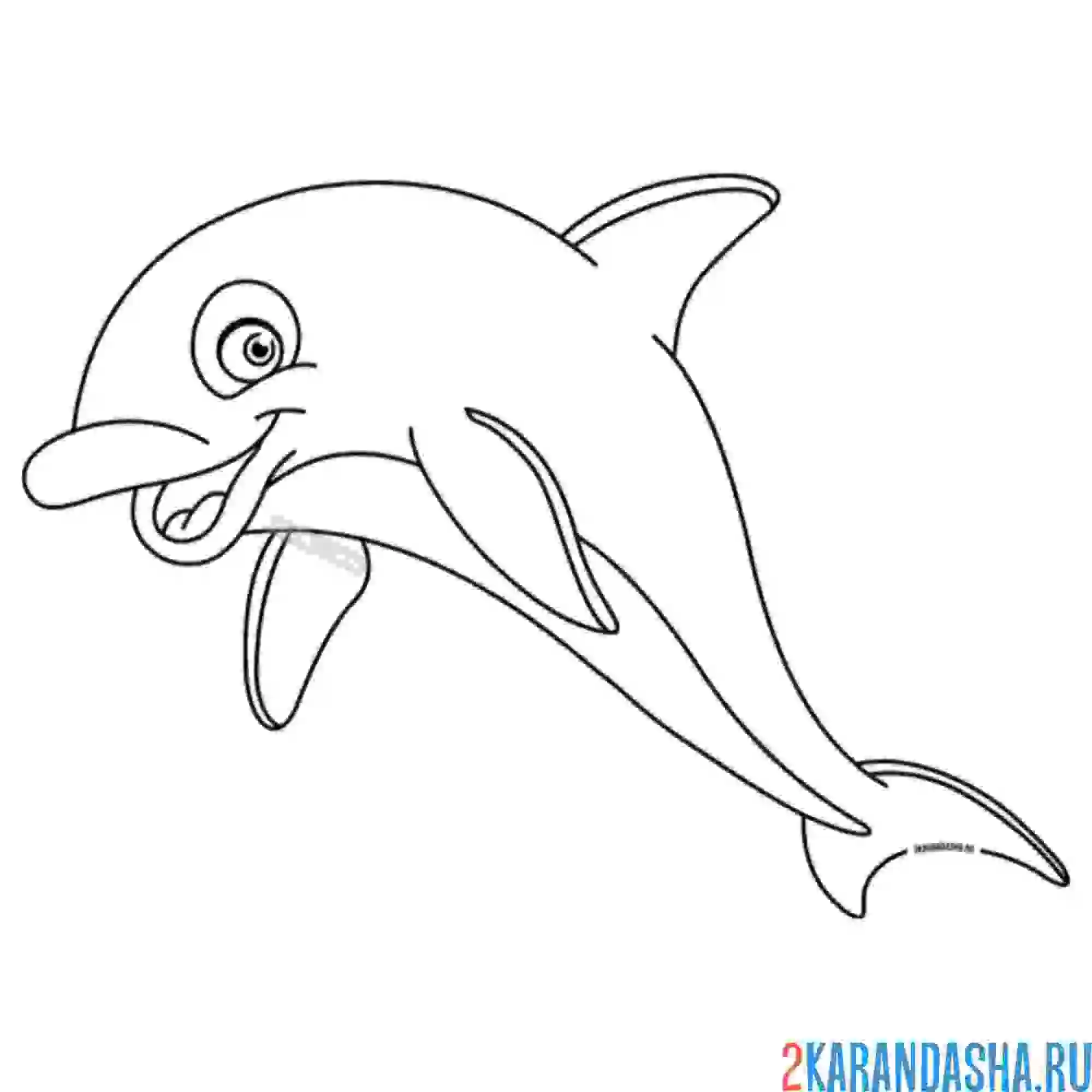 Раскраска прекрасный дельфин