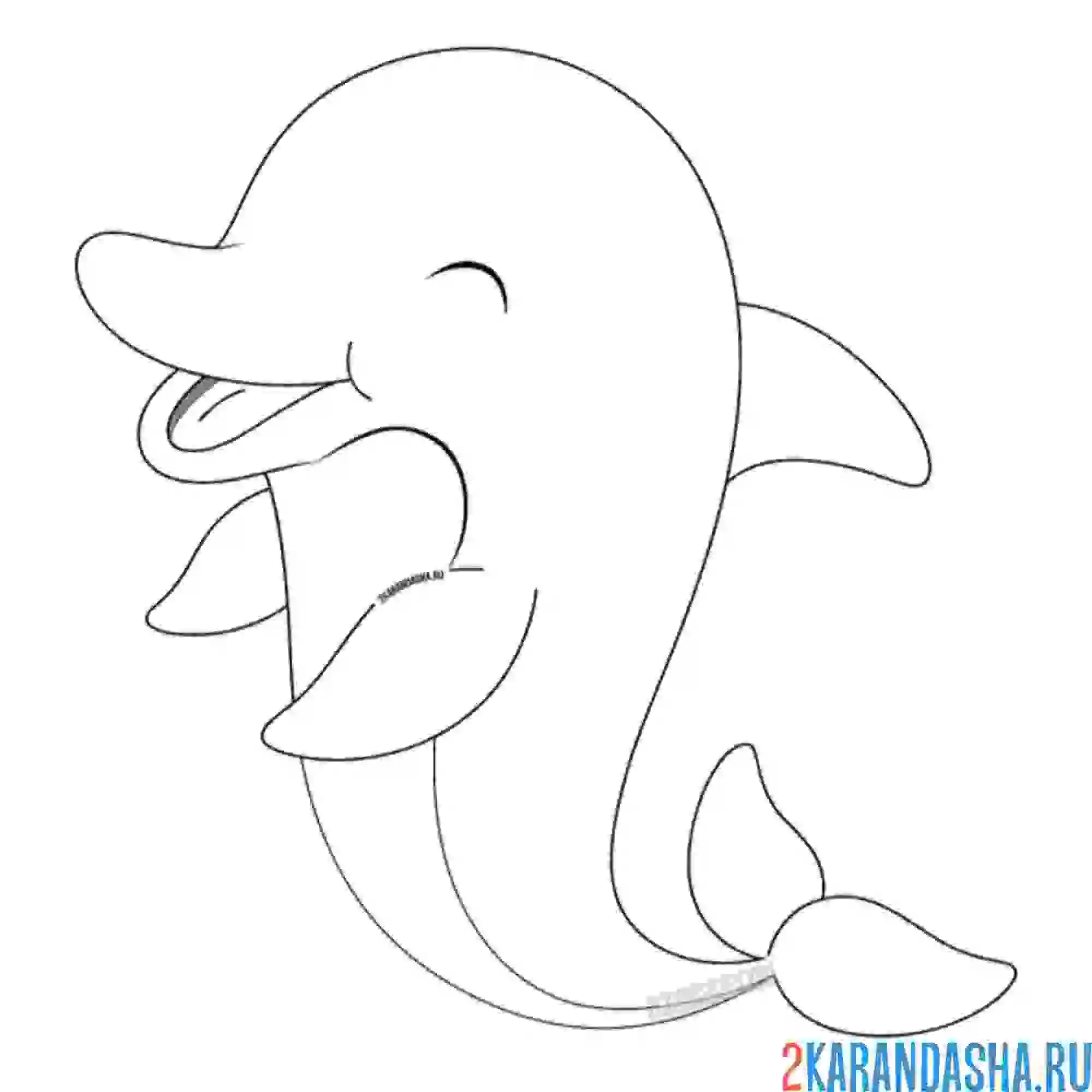 Раскраска милашка морской дельфин