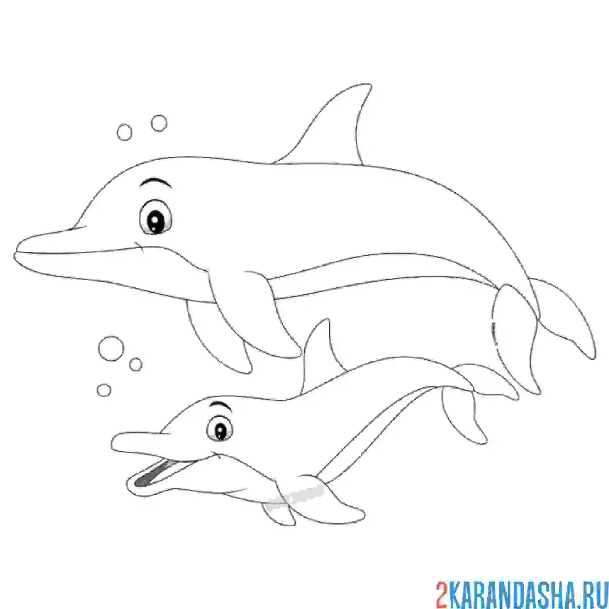 Раскраска мама и дельфиненок