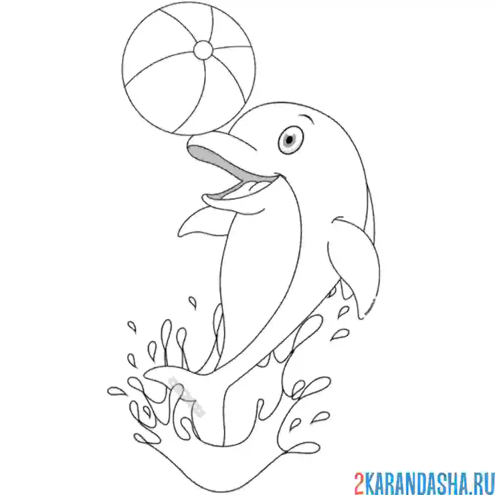 Раскраска дельфин в воде с мячом