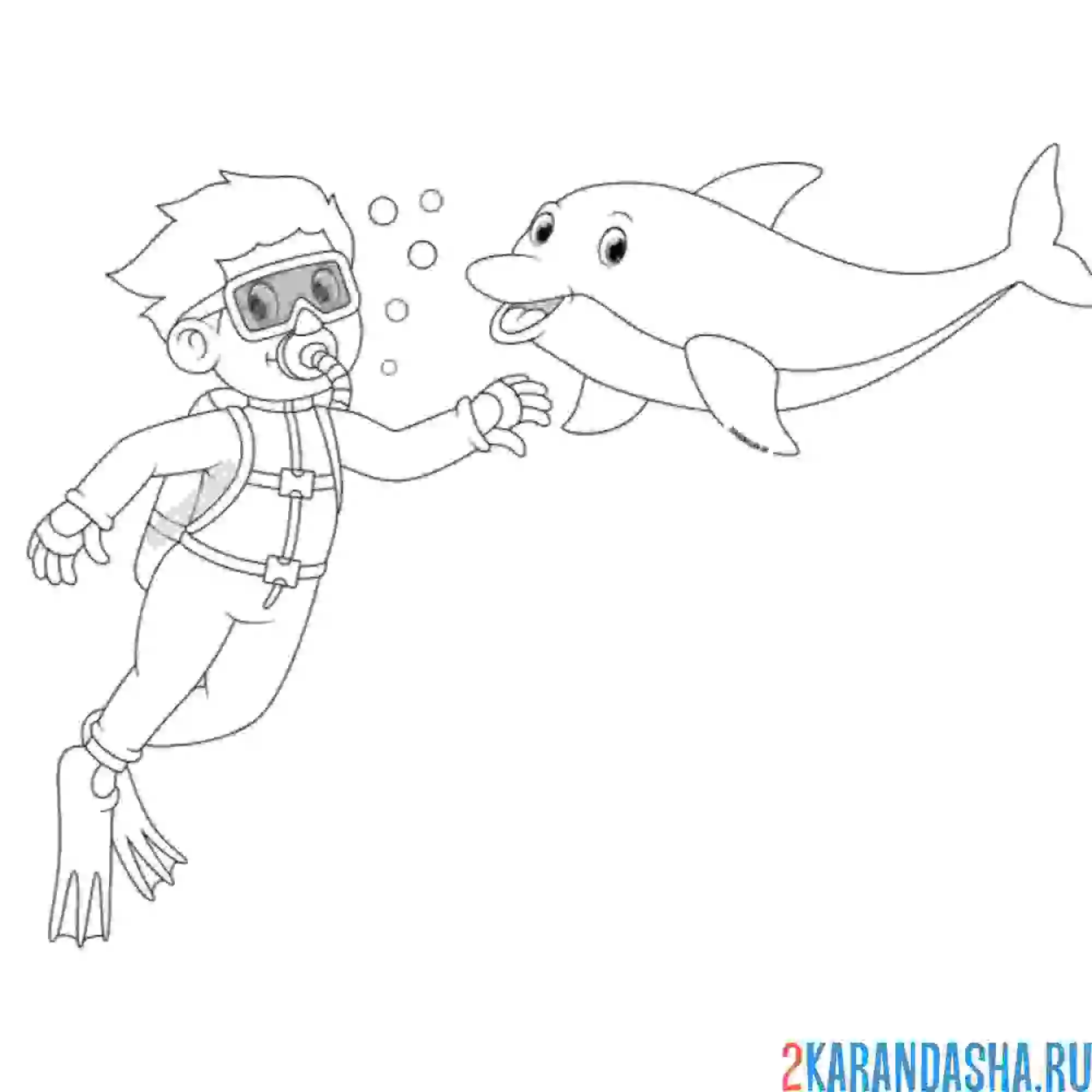 Раскраска дельфин с водолазом