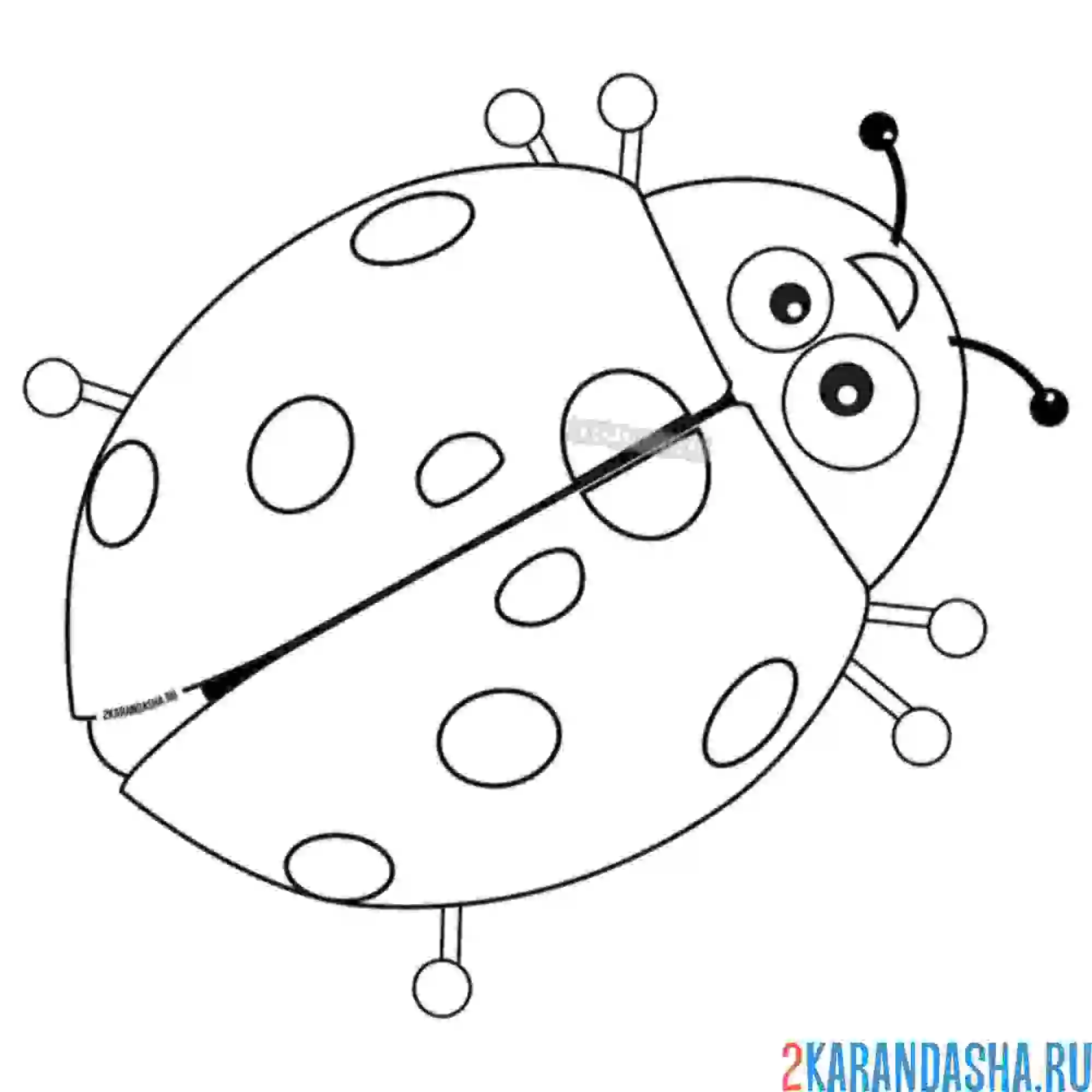 Раскраска жук божья коровка