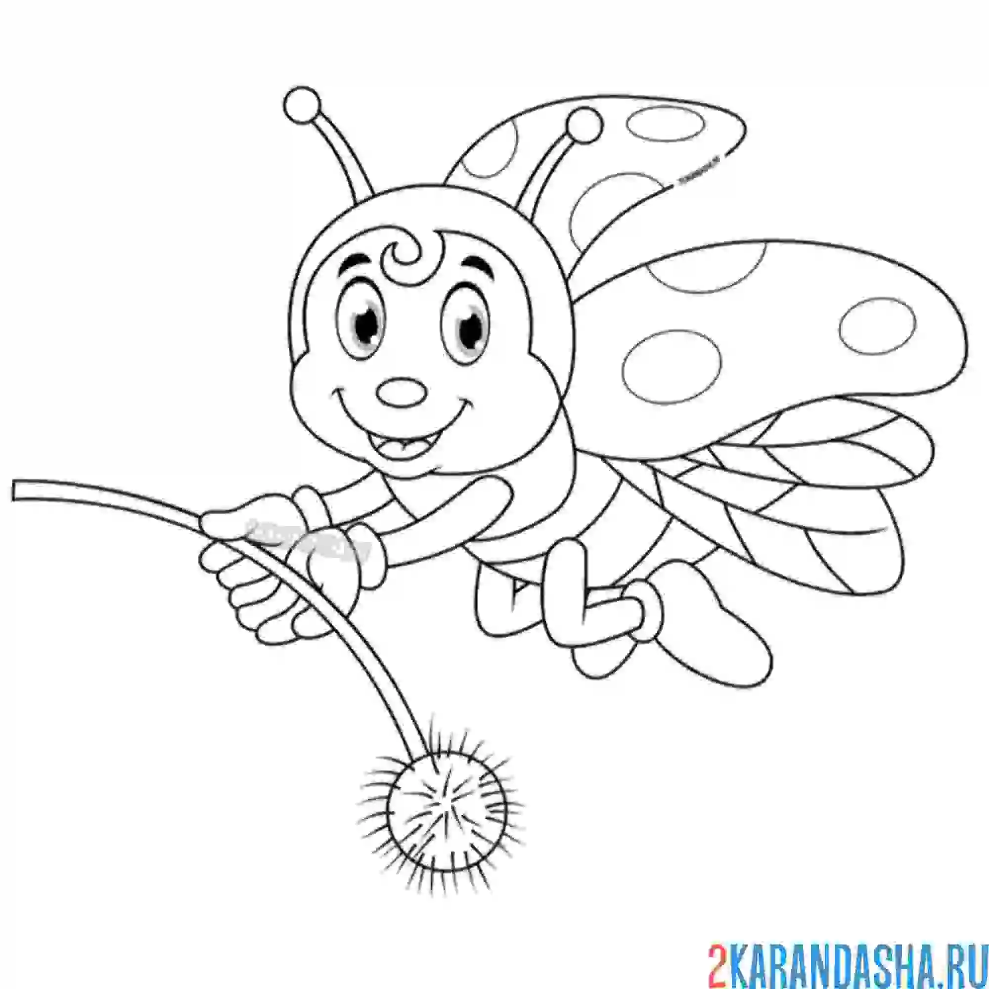 Раскраска с цветочком божья коровка