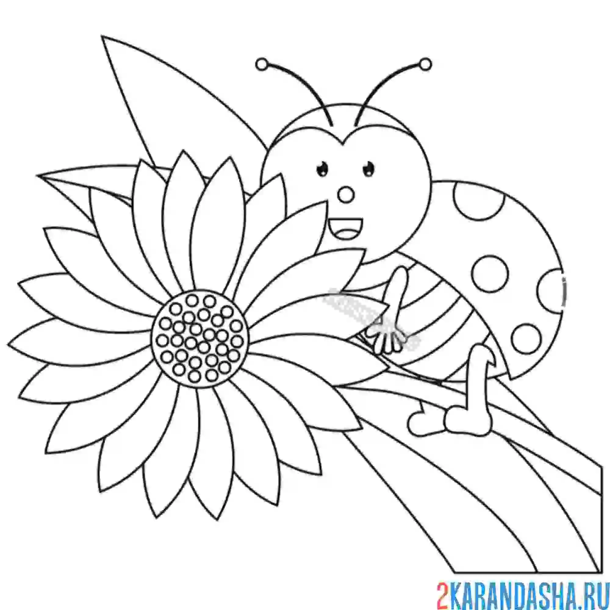 Раскраска в цветке божья коровка