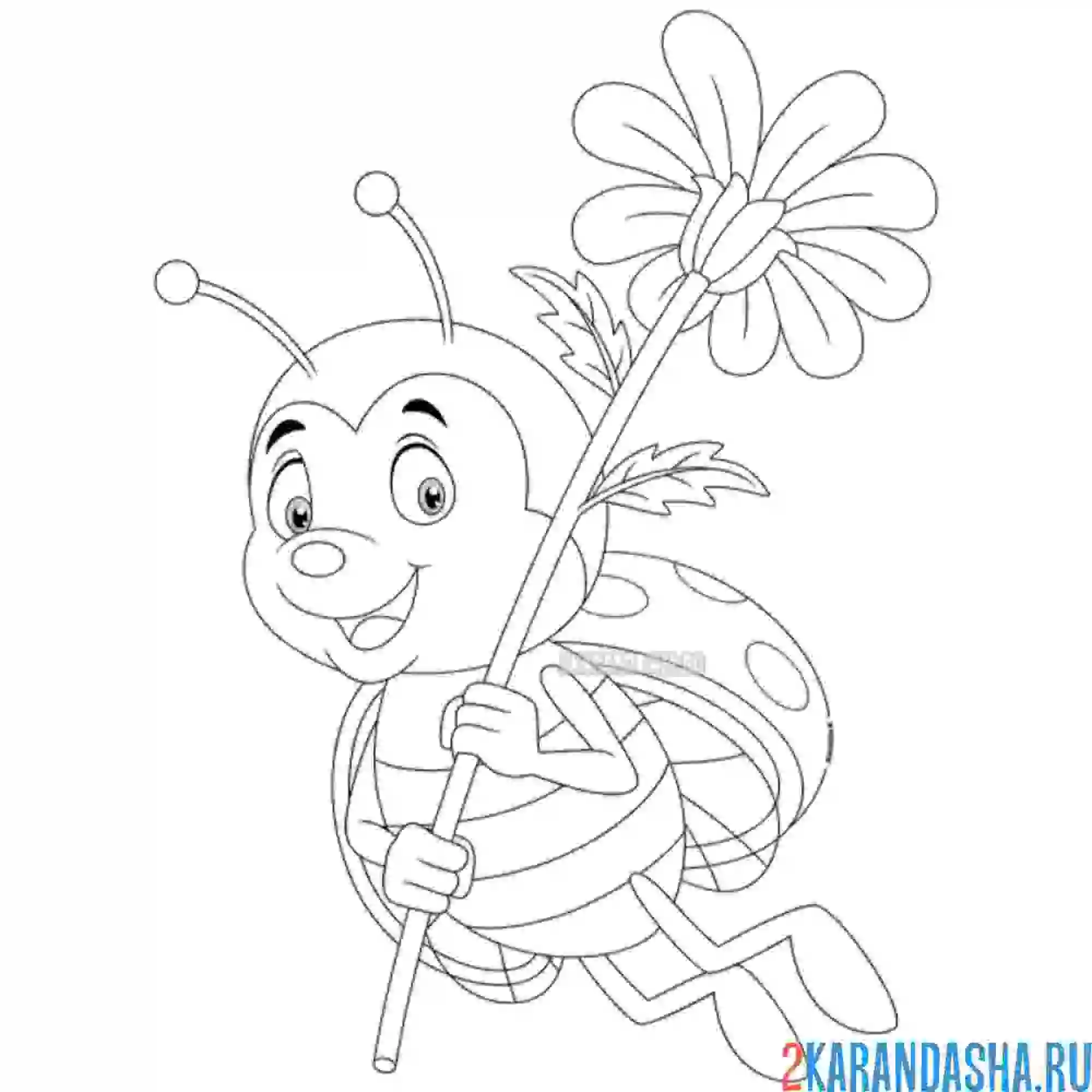 Раскраска божья коровка милашка с цветочком