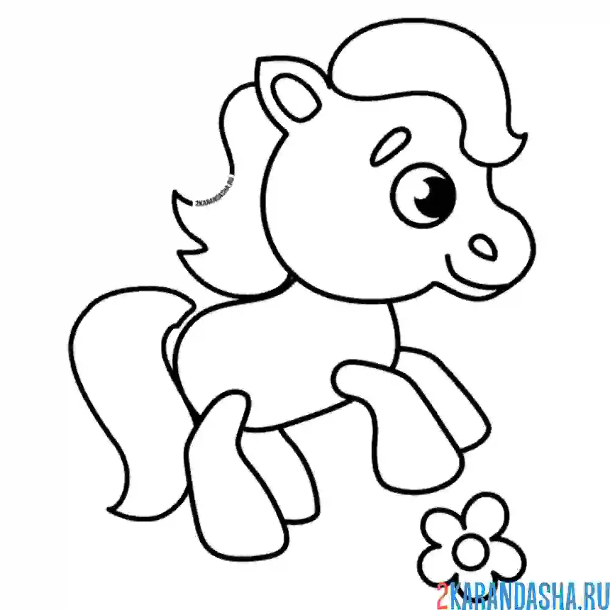 Раскраска лошадка и цветочек