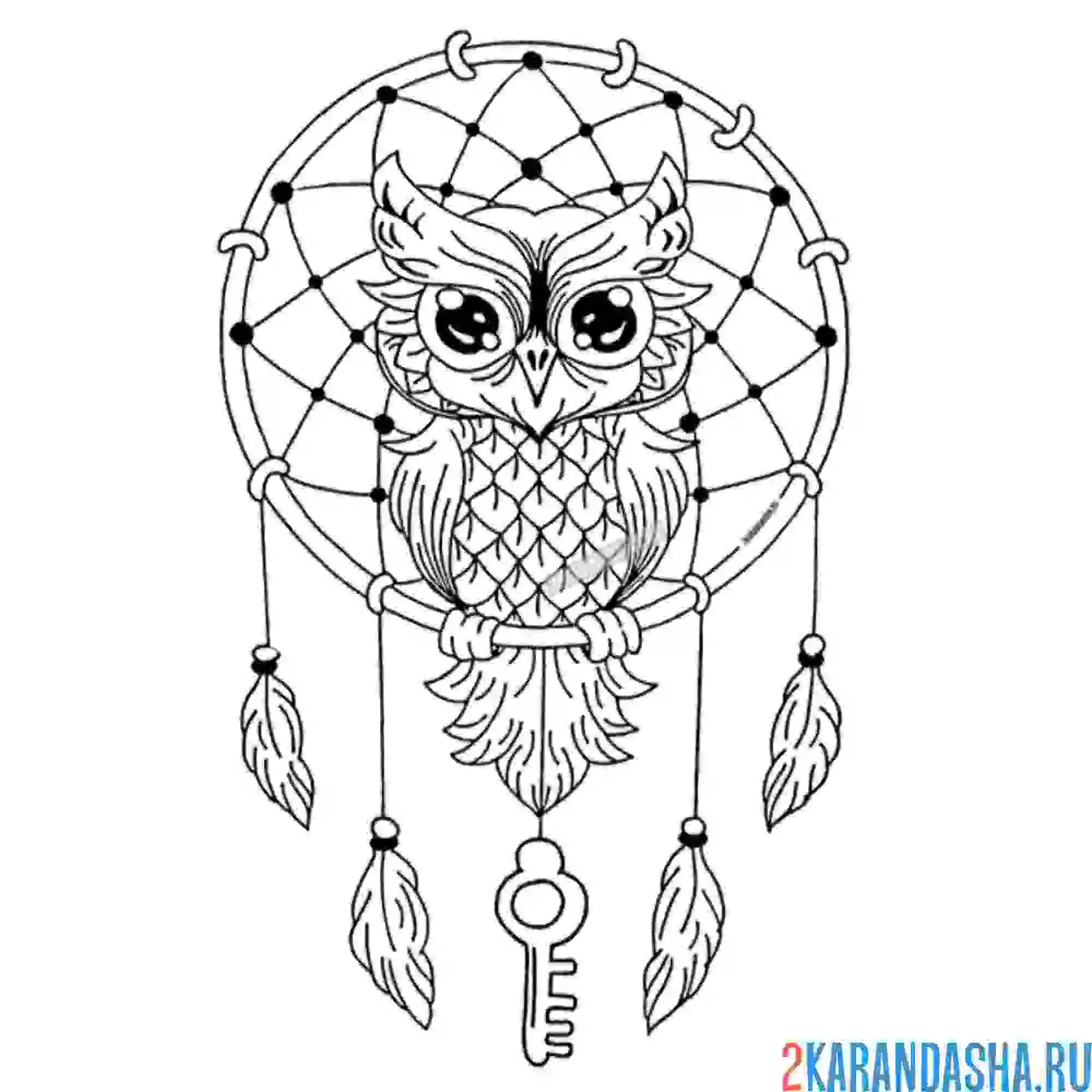 Раскраска ловец снов и птичка сова