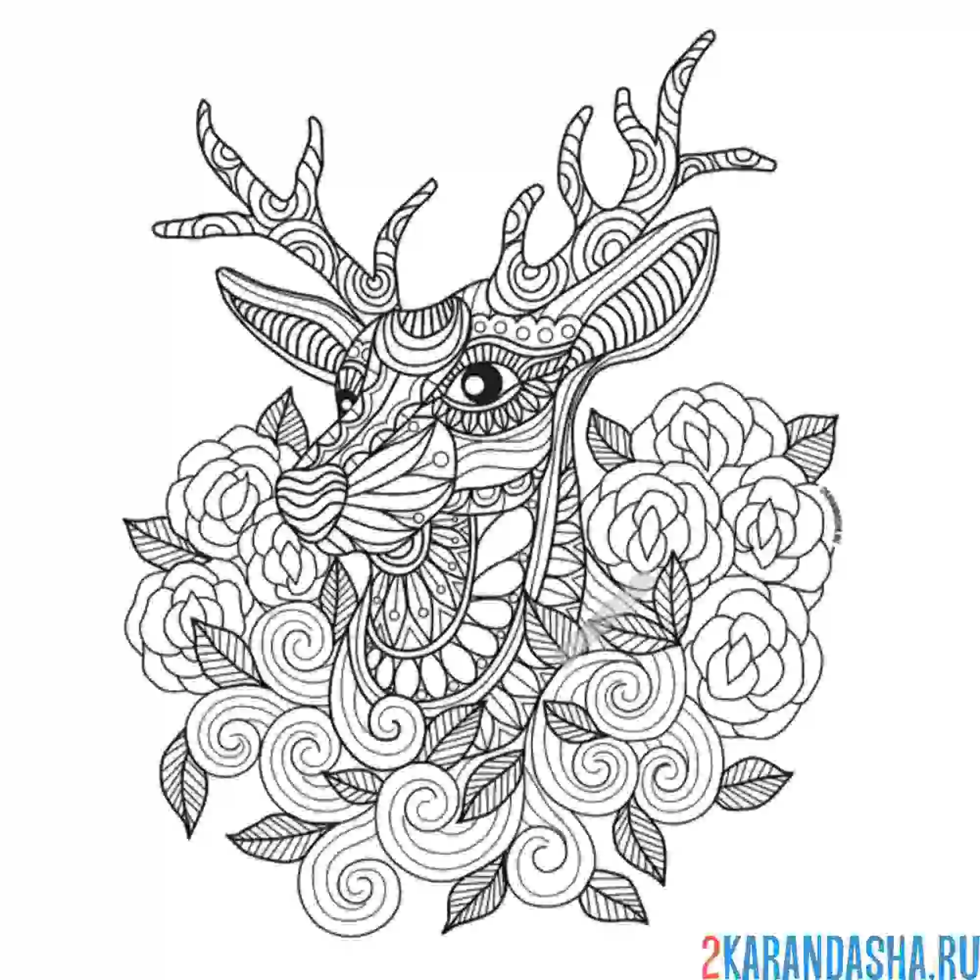 Раскраска олень в цветах